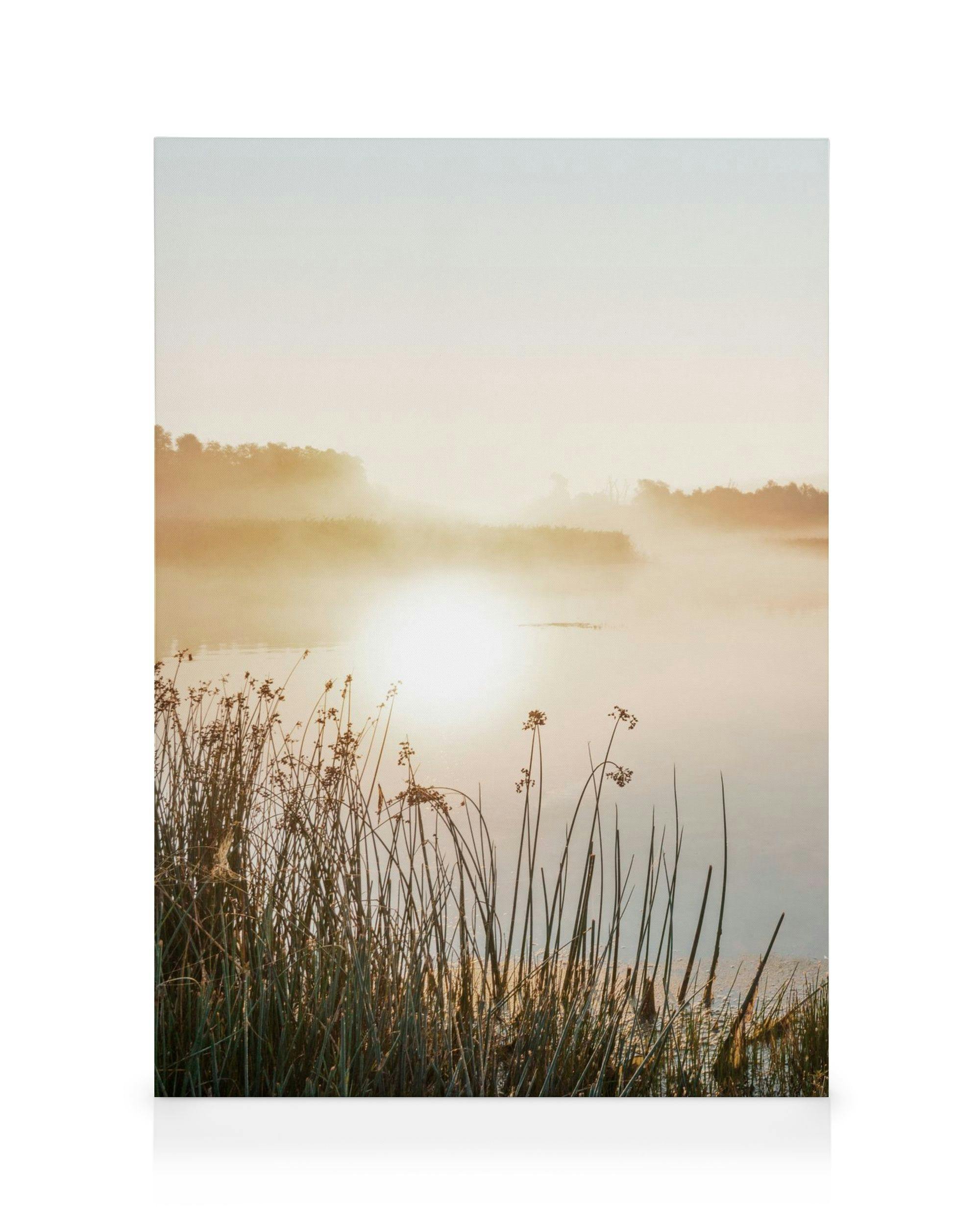 Misty lake canvas print showing sunlit fog over water with tall reeds in the foreground. Peaceful natural art.