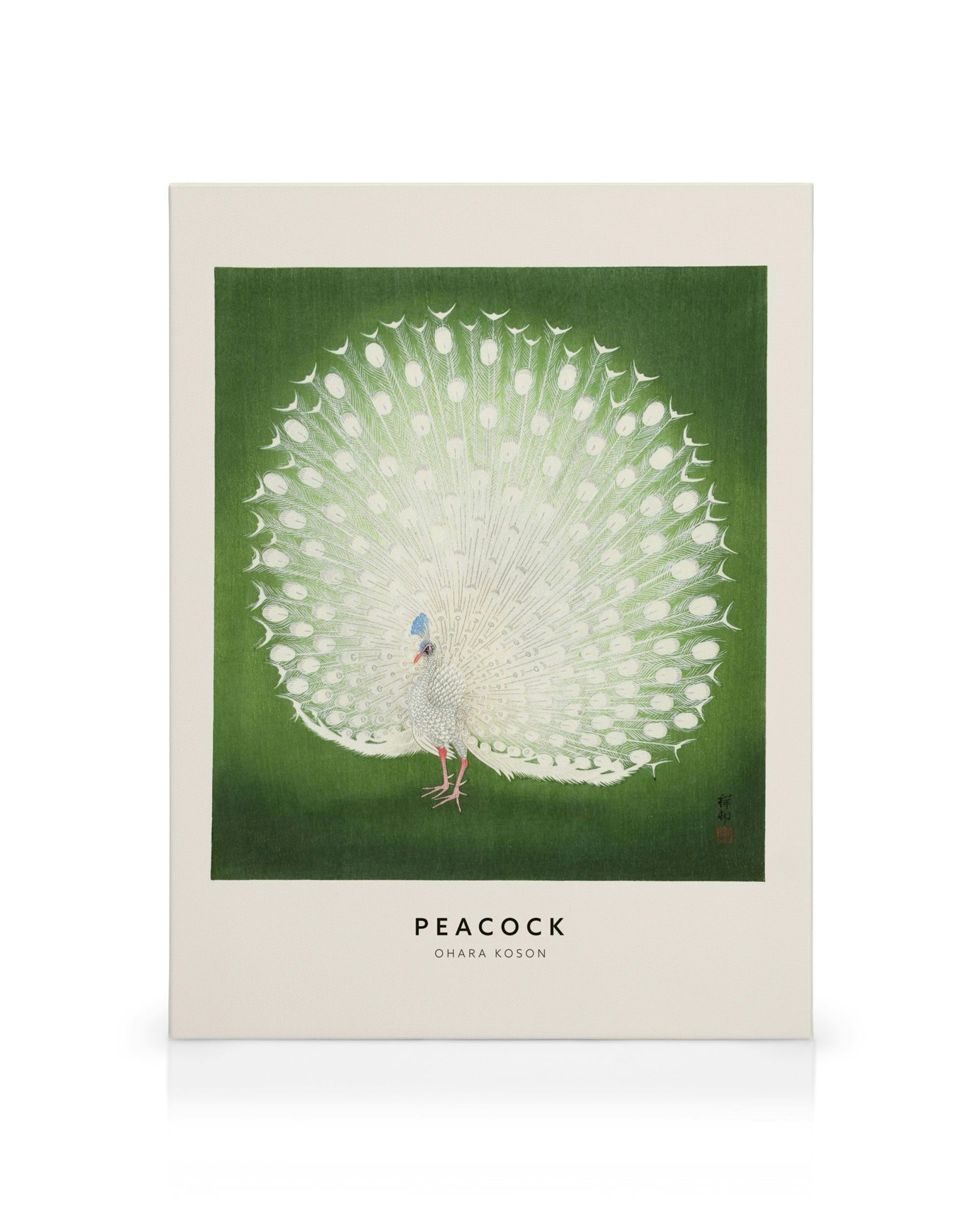 Ohara Kosons white peacock art print with fanned tail feathers against a vibrant green background.