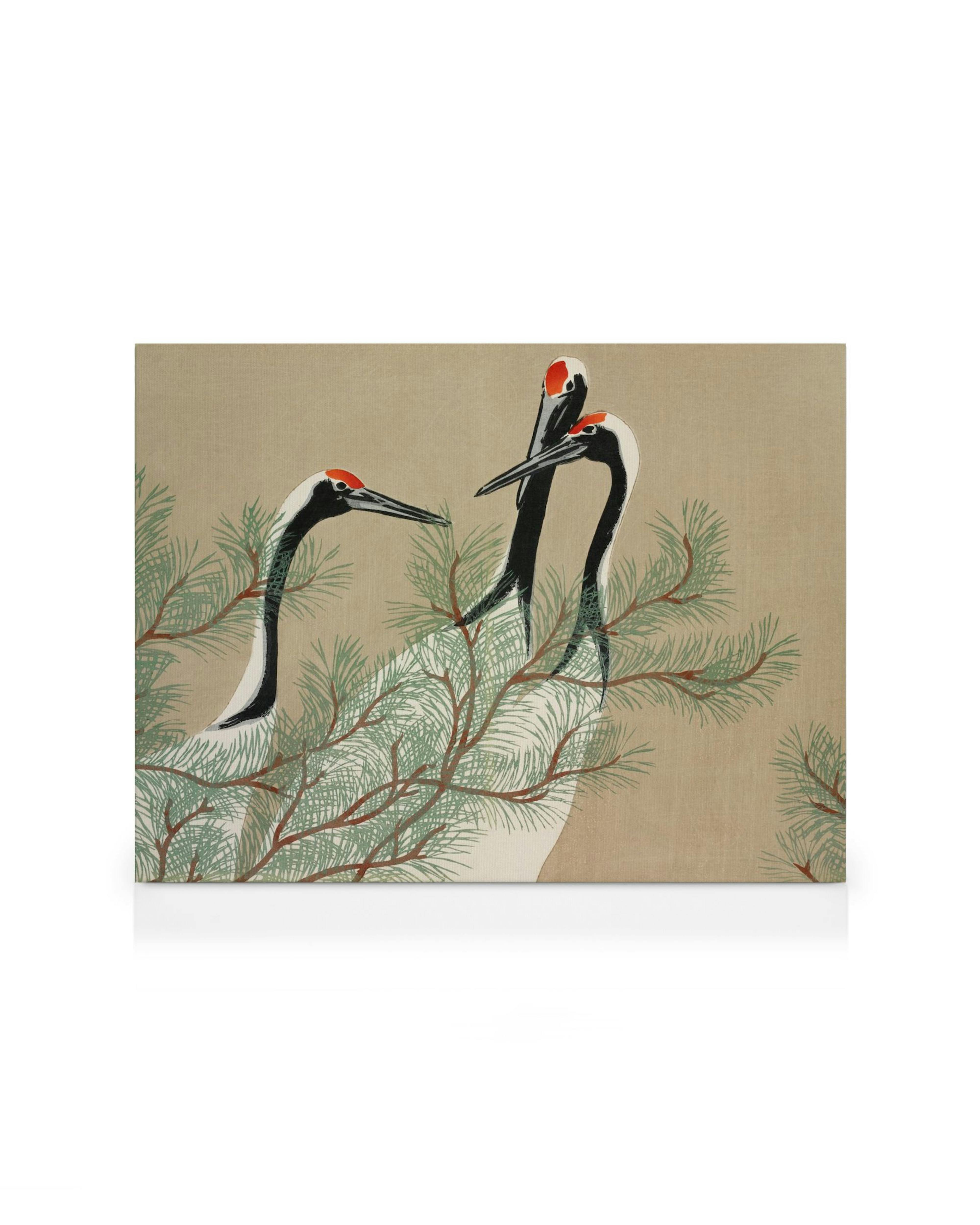 Kamisaka Sekkan kanvaasitaulu, jossa kolme kurkea seisoo havupuiden oksien seassa beigellä taustalla.