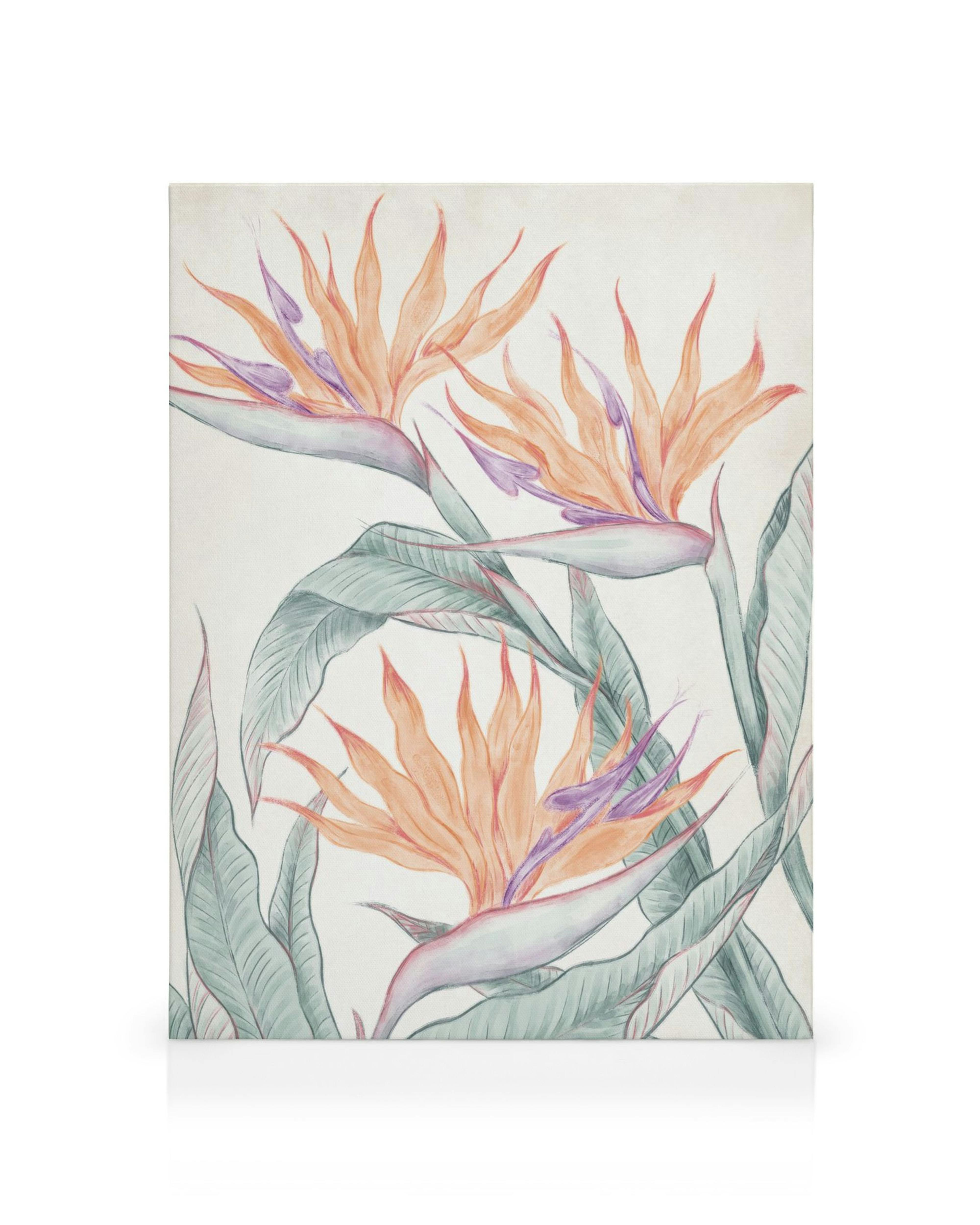 Obraz akwarelowy z pomarańczowymi i fioletowymi kwiatami strelicji królewskiej z zielonymi liśćmi na białym tle.