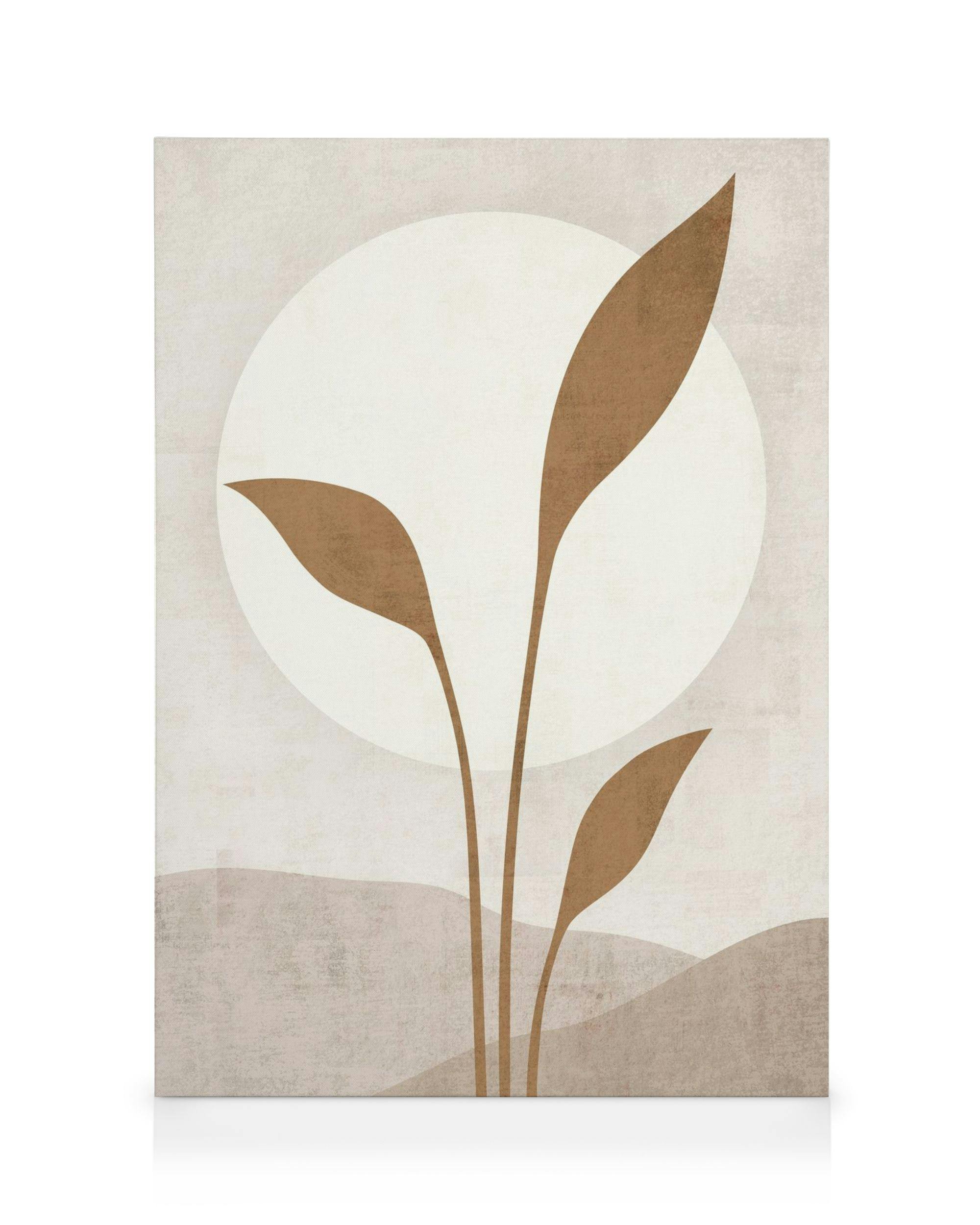 Beige Solar Canvas print with stylized brown plant leaves and a large white circle on a textured beige background.