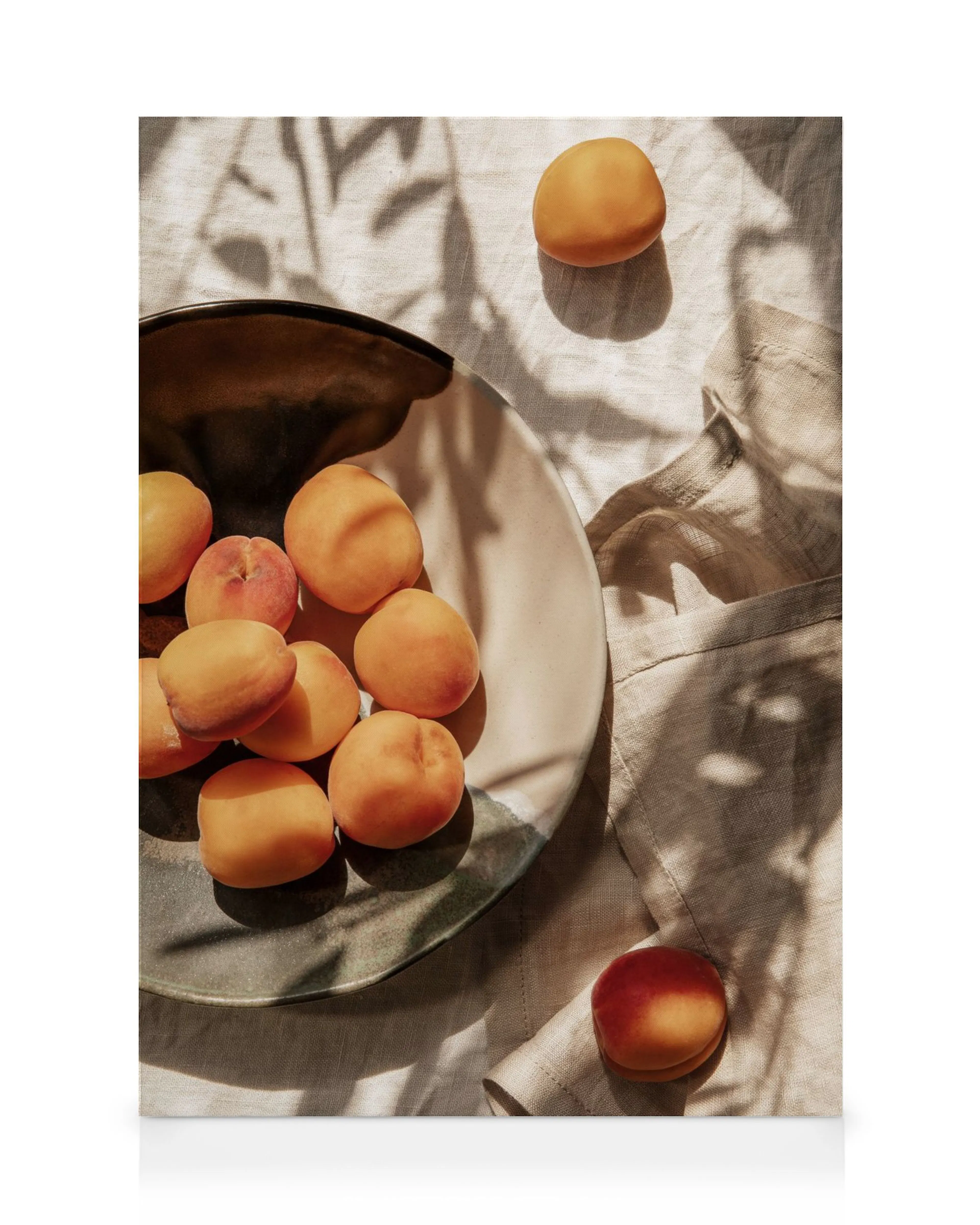 Toile dabricots orange sur une assiette en céramique, avec des ombres de feuilles créant du contraste