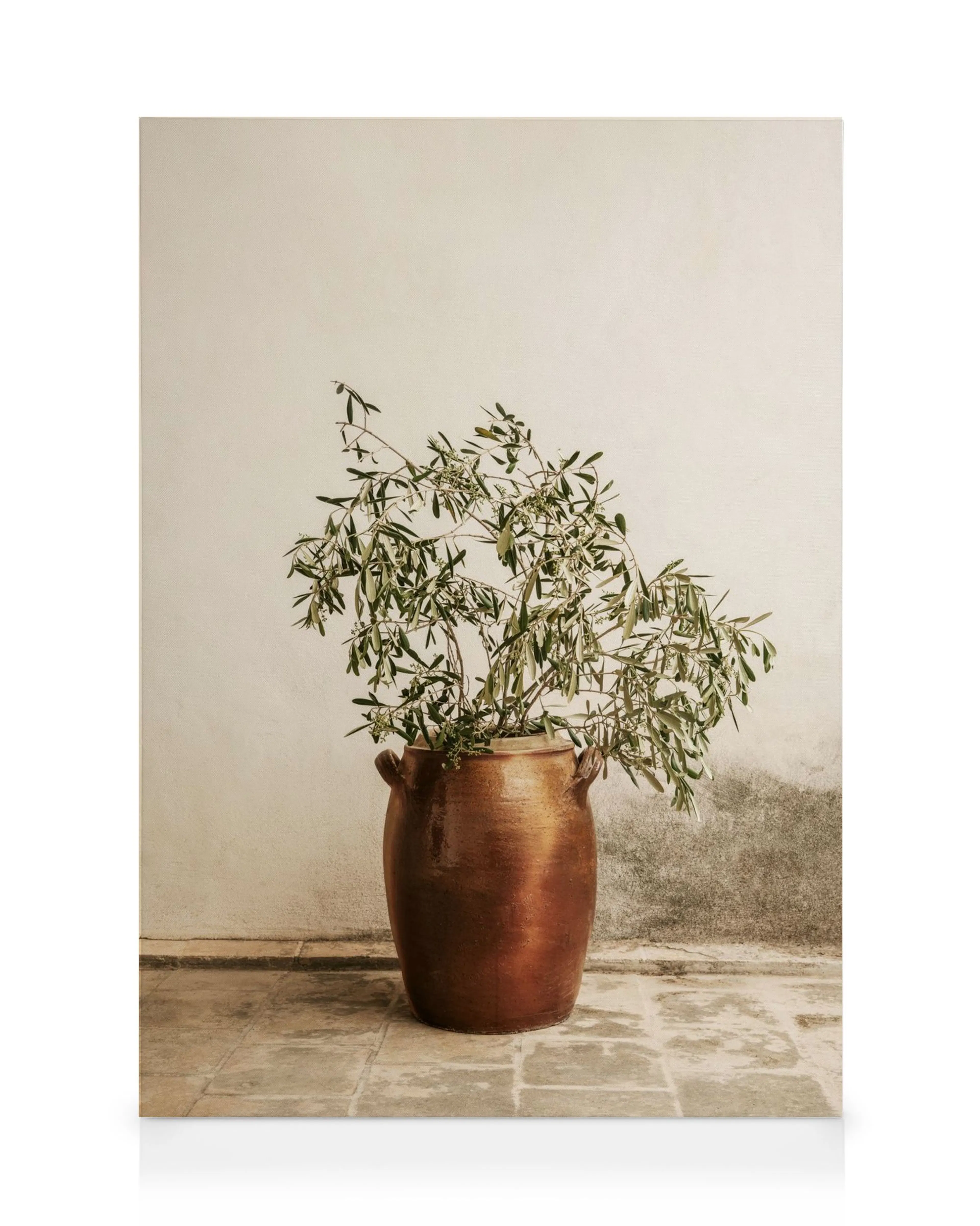 Toile de plante verte en pot marron sur sol carrelé devant un mur crème, éclairage doux