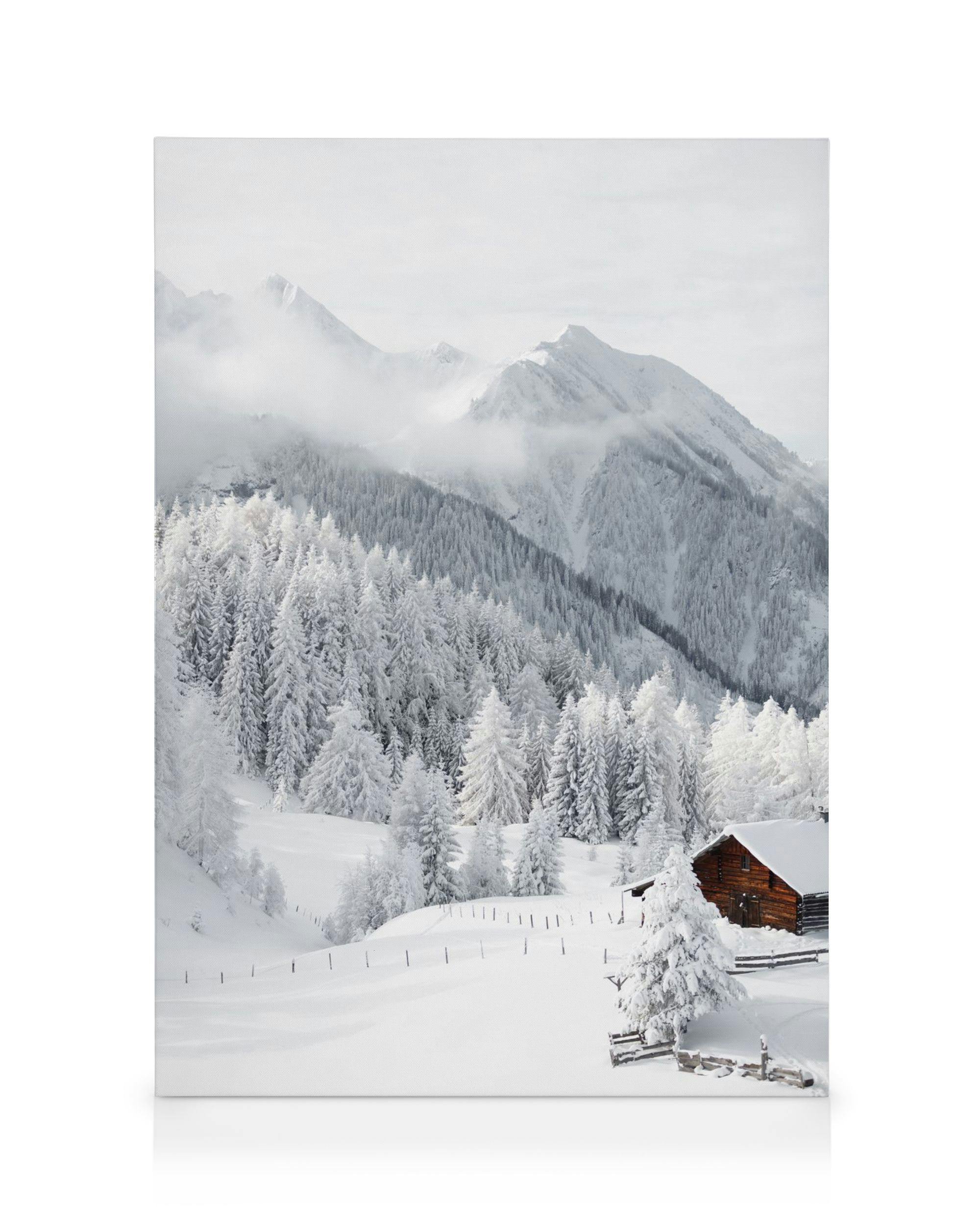 Canvas Prints Snowy Landscape Canvas print (50x70 cm)