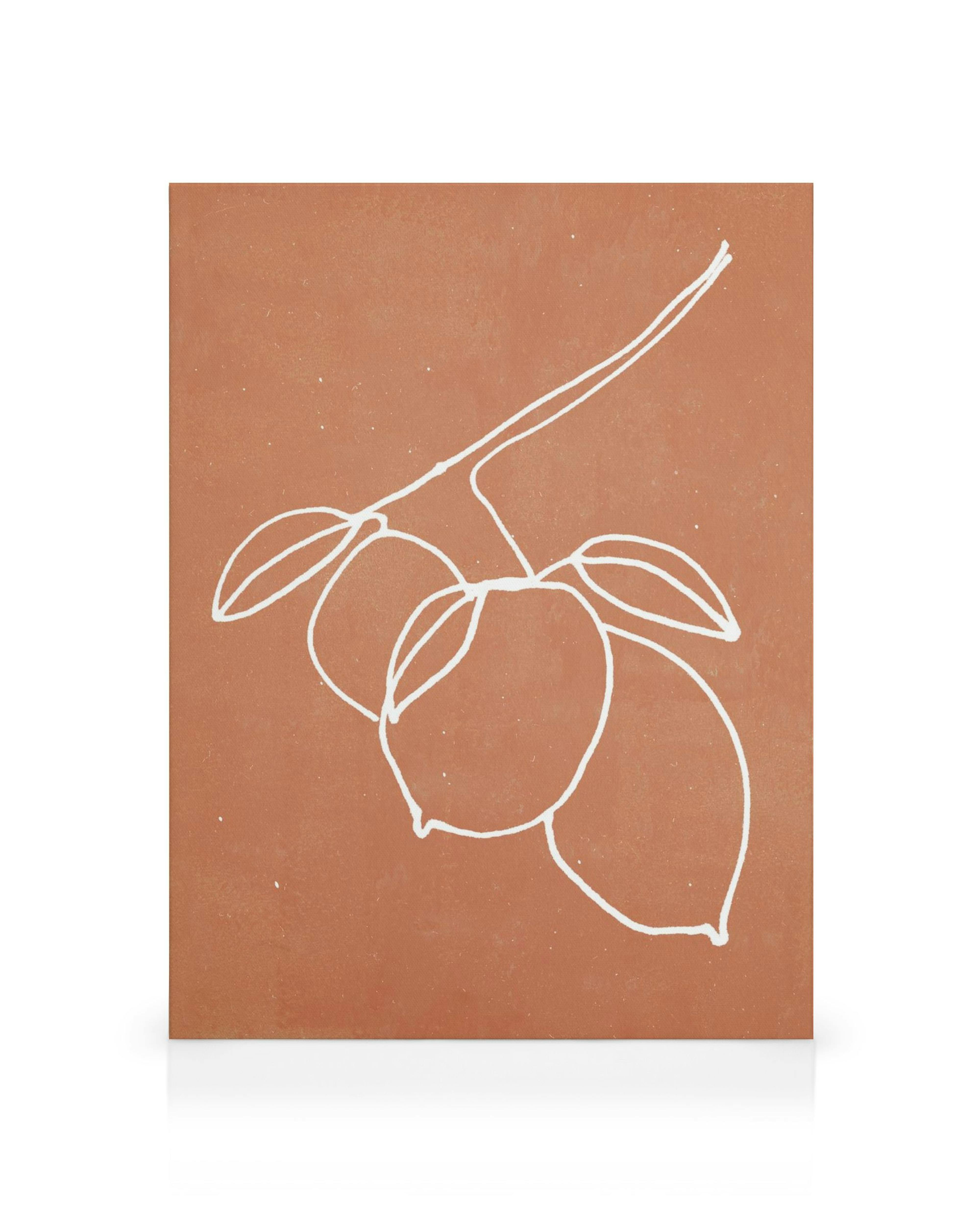 Καμβάς με λευκό περίγραμμα λεμονιών σε τερακότα φόντο, μινιμαλιστική βοτανική τέχνη.