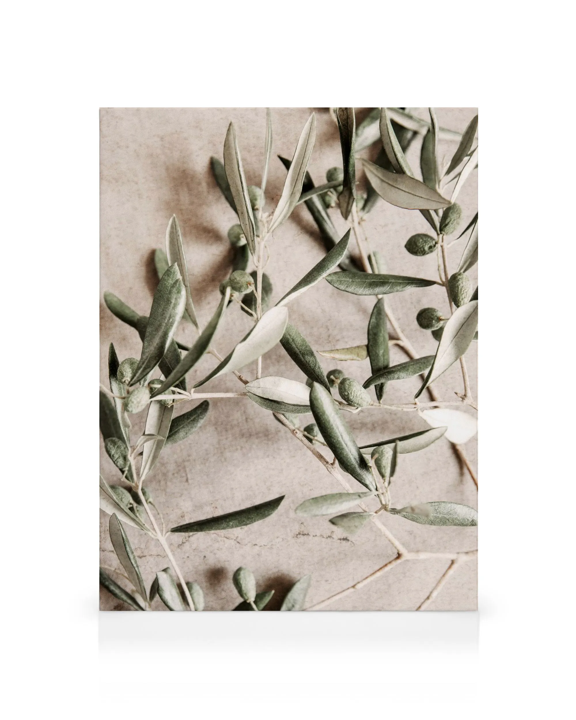 Ramas de olivo con hojas verdes y aceitunas sobre un fondo beige, tonos plateados. Arte de pared naturaleza, botánico, mediterrá