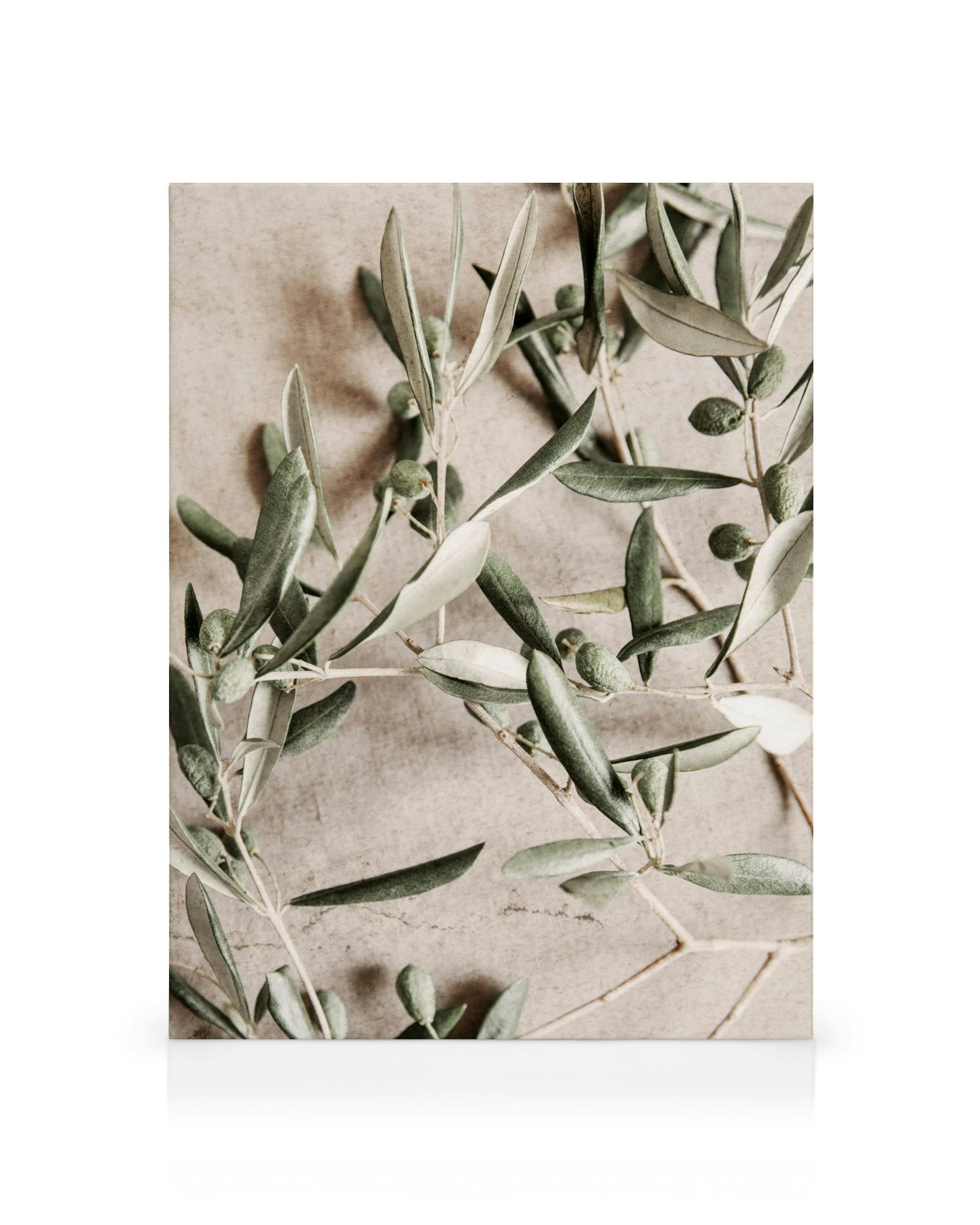 Green olive branches with small olives on a light brown background, natural botanical canvas art.