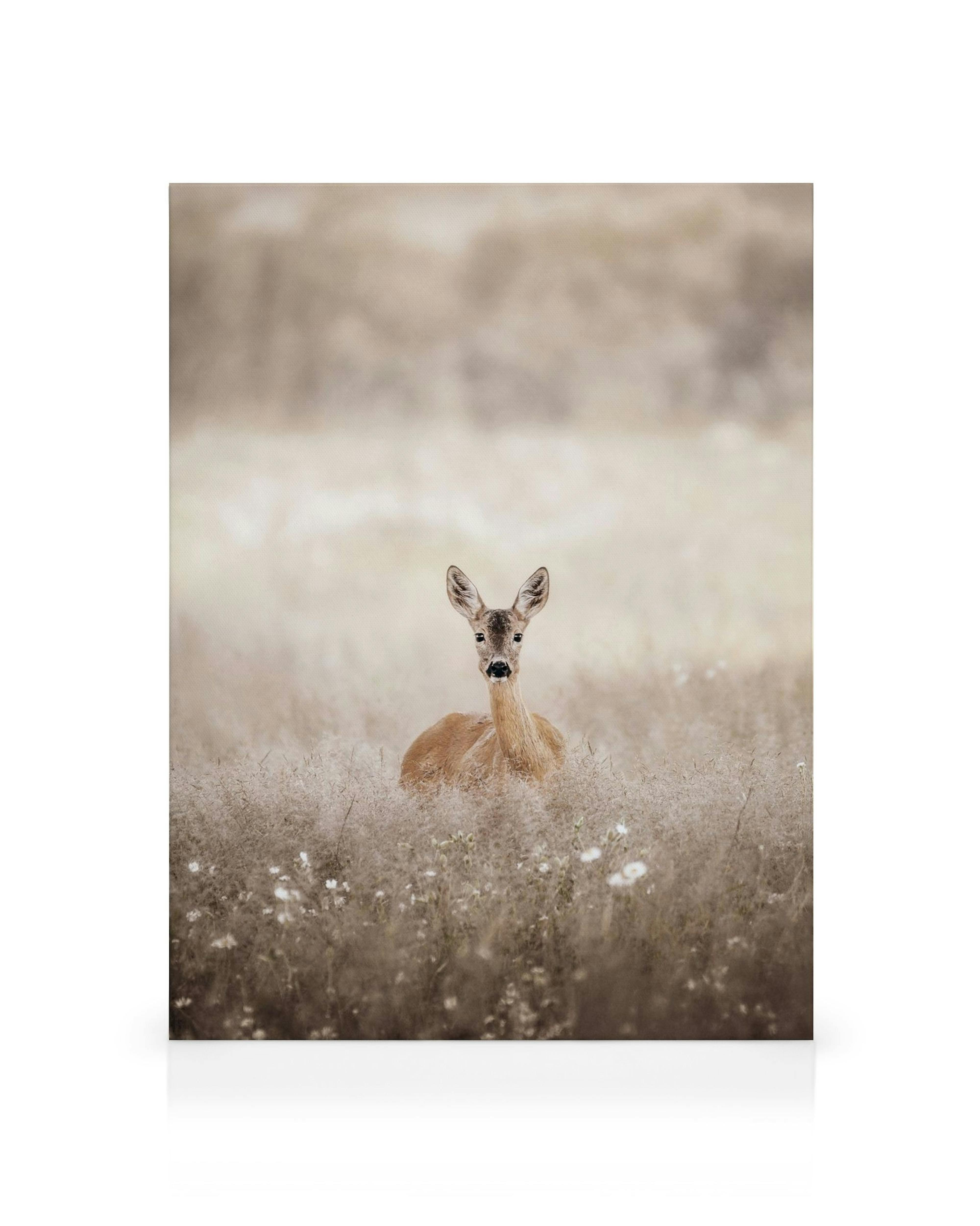 Stampa su tela di un capriolo marrone chiaro in un campo derba dorata con fiori bianchi.