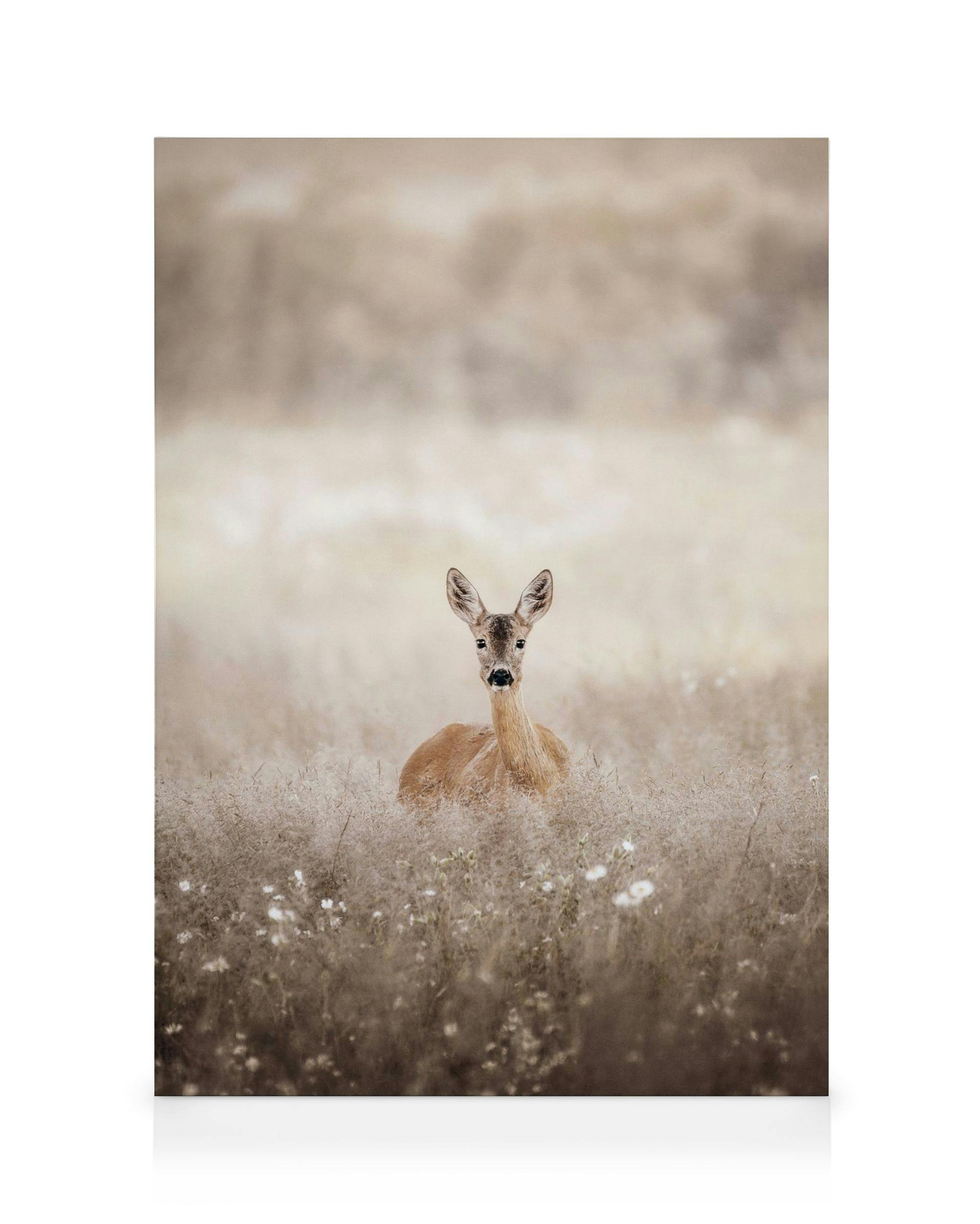 Stampa su tela di un capriolo marrone chiaro in un campo derba dorata con fiori bianchi.