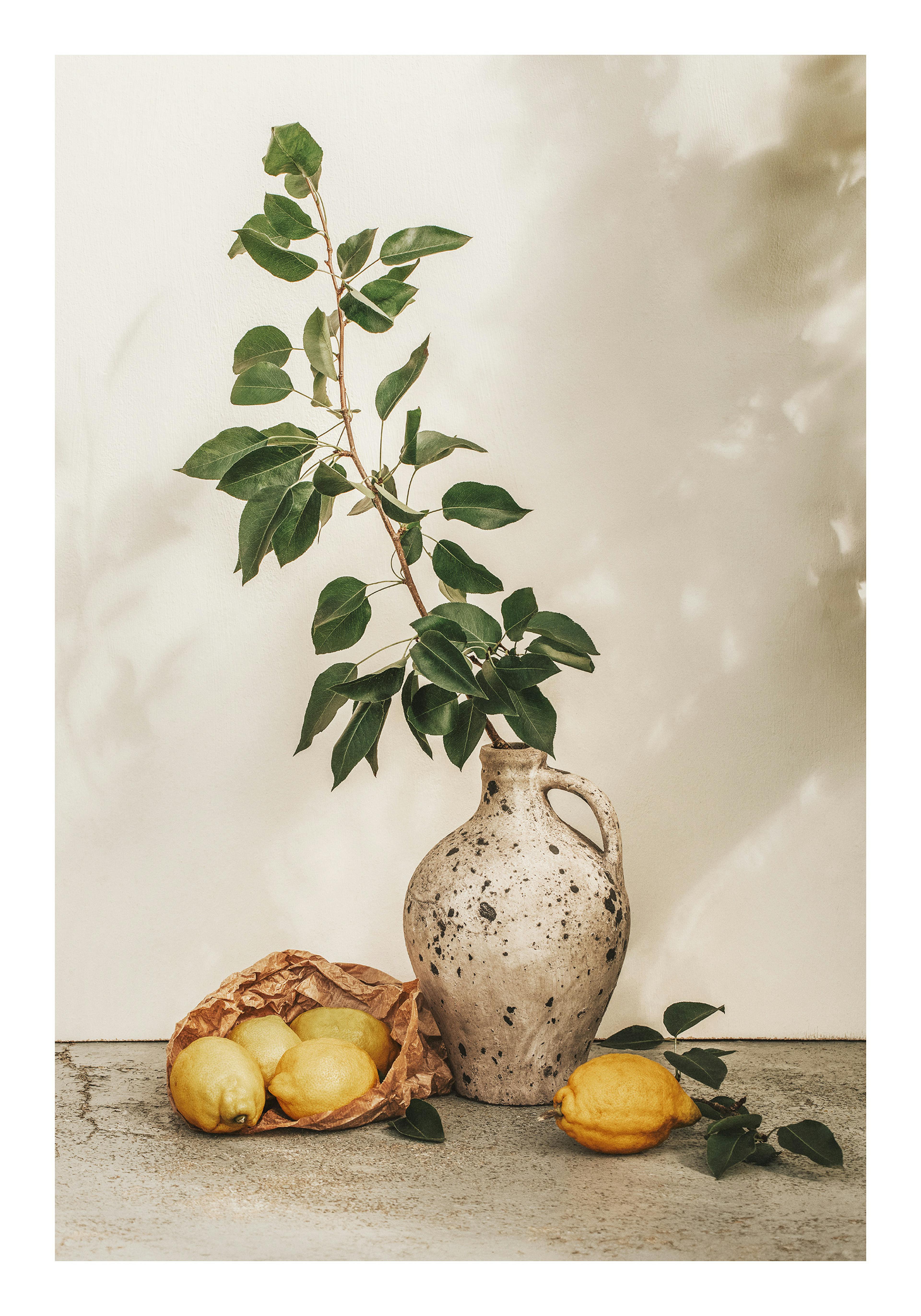Still life poster of a beige vase with a leafy branch, lemons in a brown paper bag, and loose lemons.