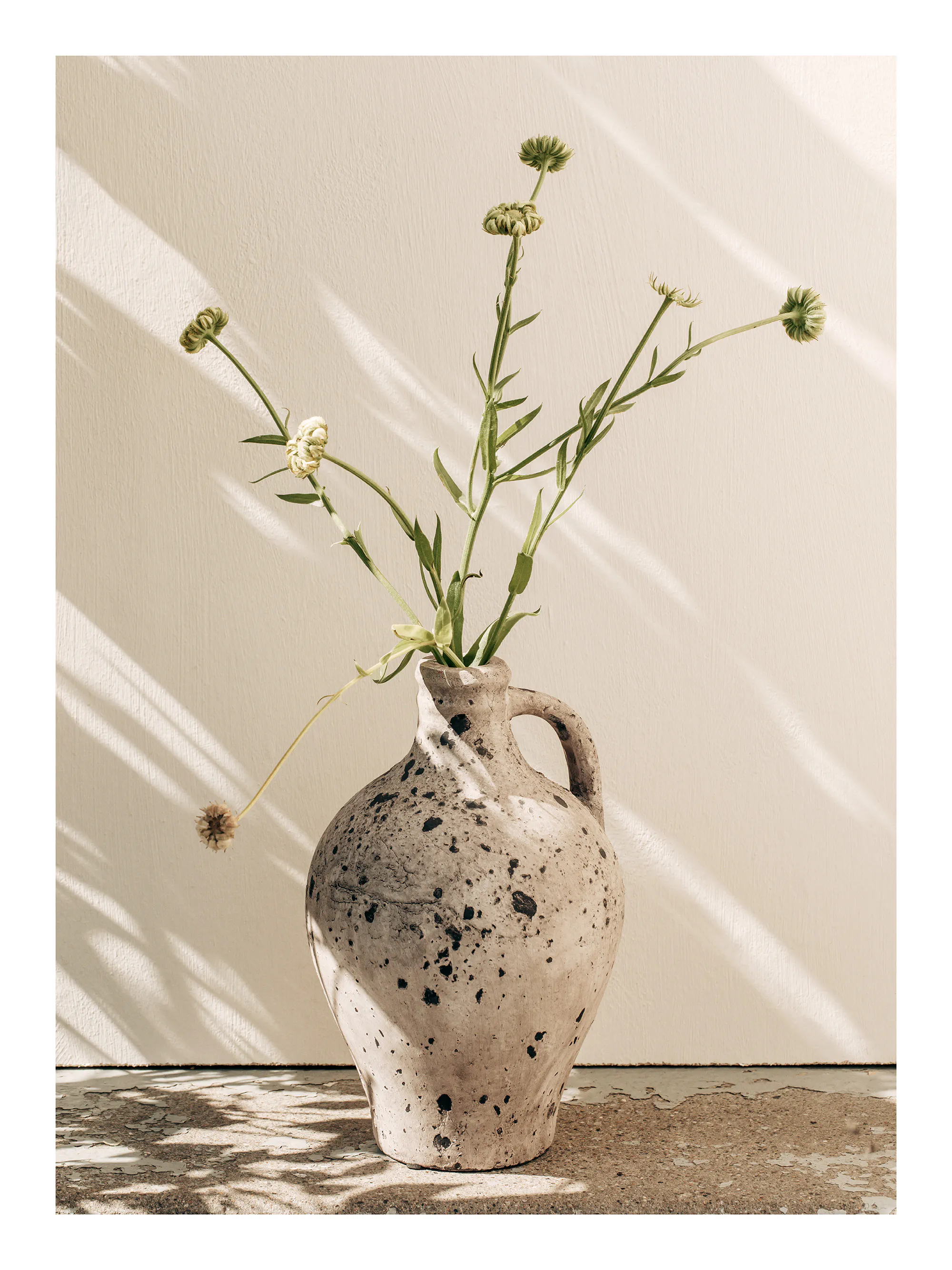 Sunlit Vase Poster 0