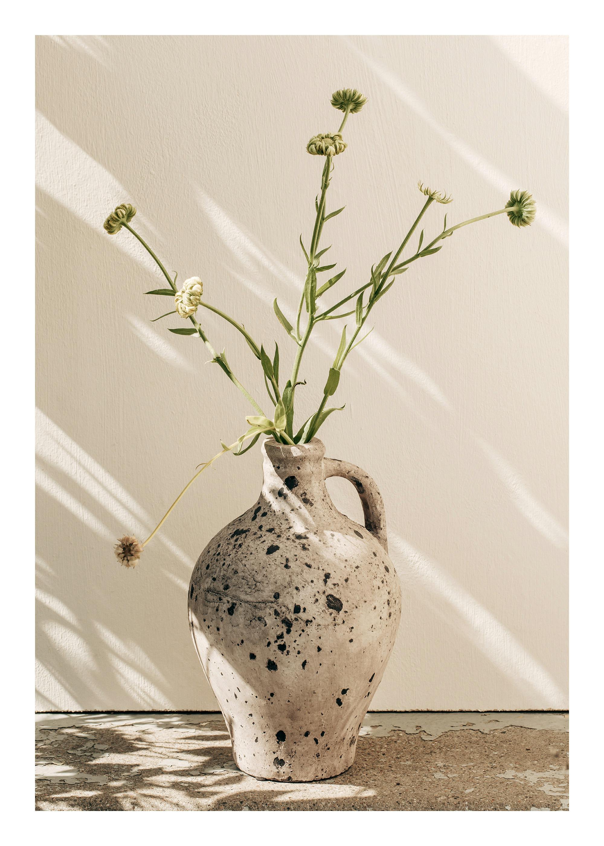 Sunlit Vase Print 0