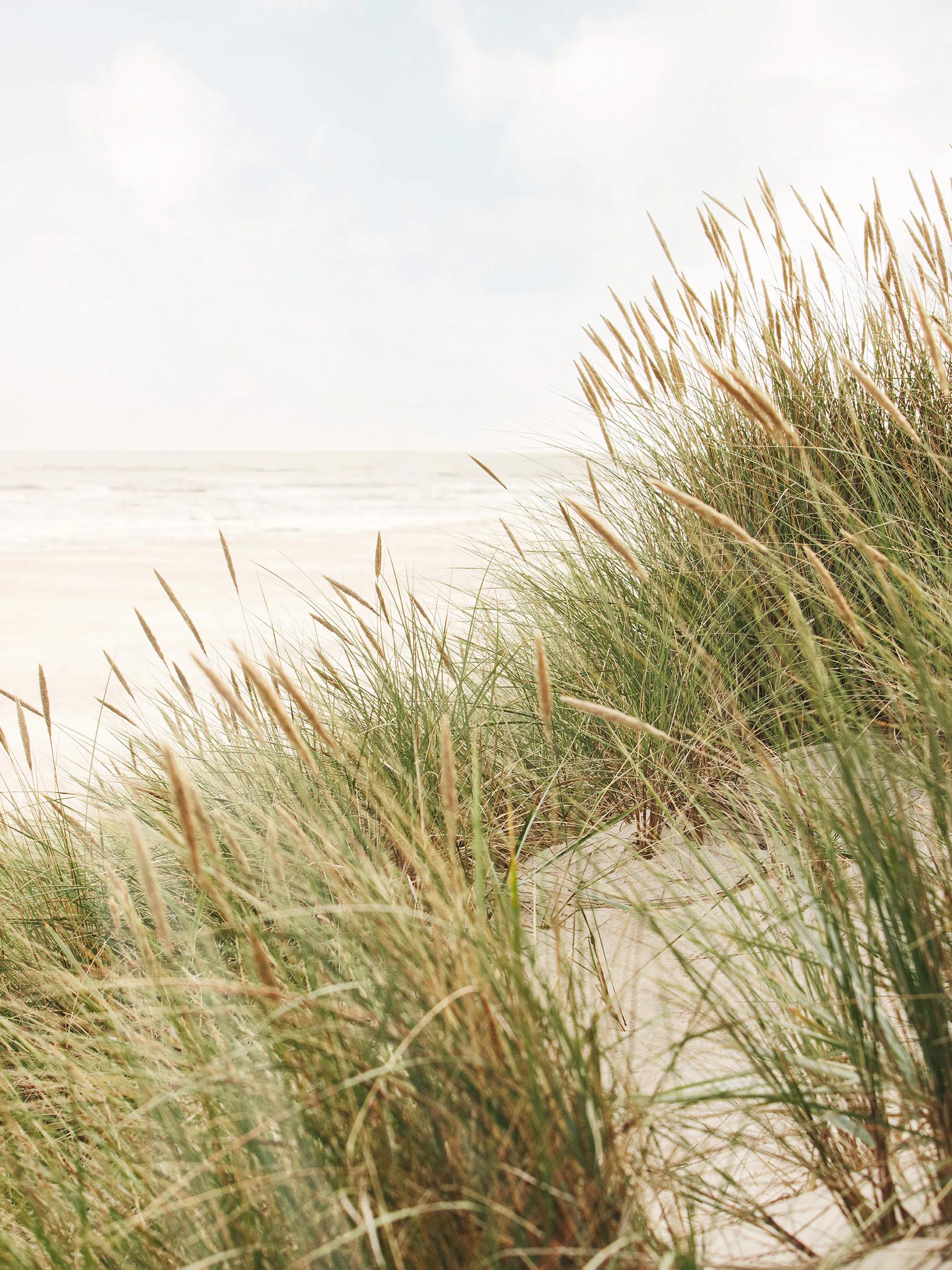 Still Shore Poster 0