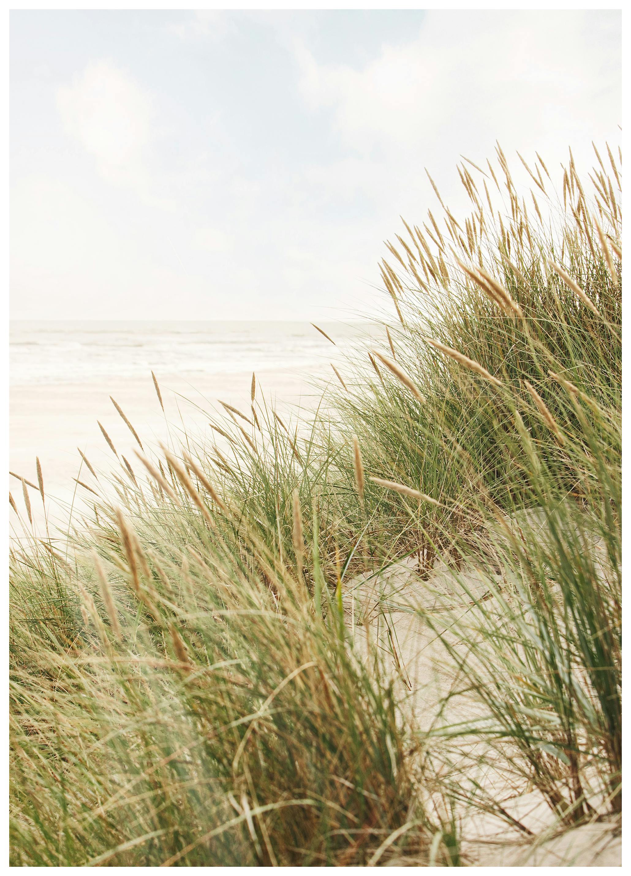 Still Shore Juliste (50x70 cm)  luontojulisteet