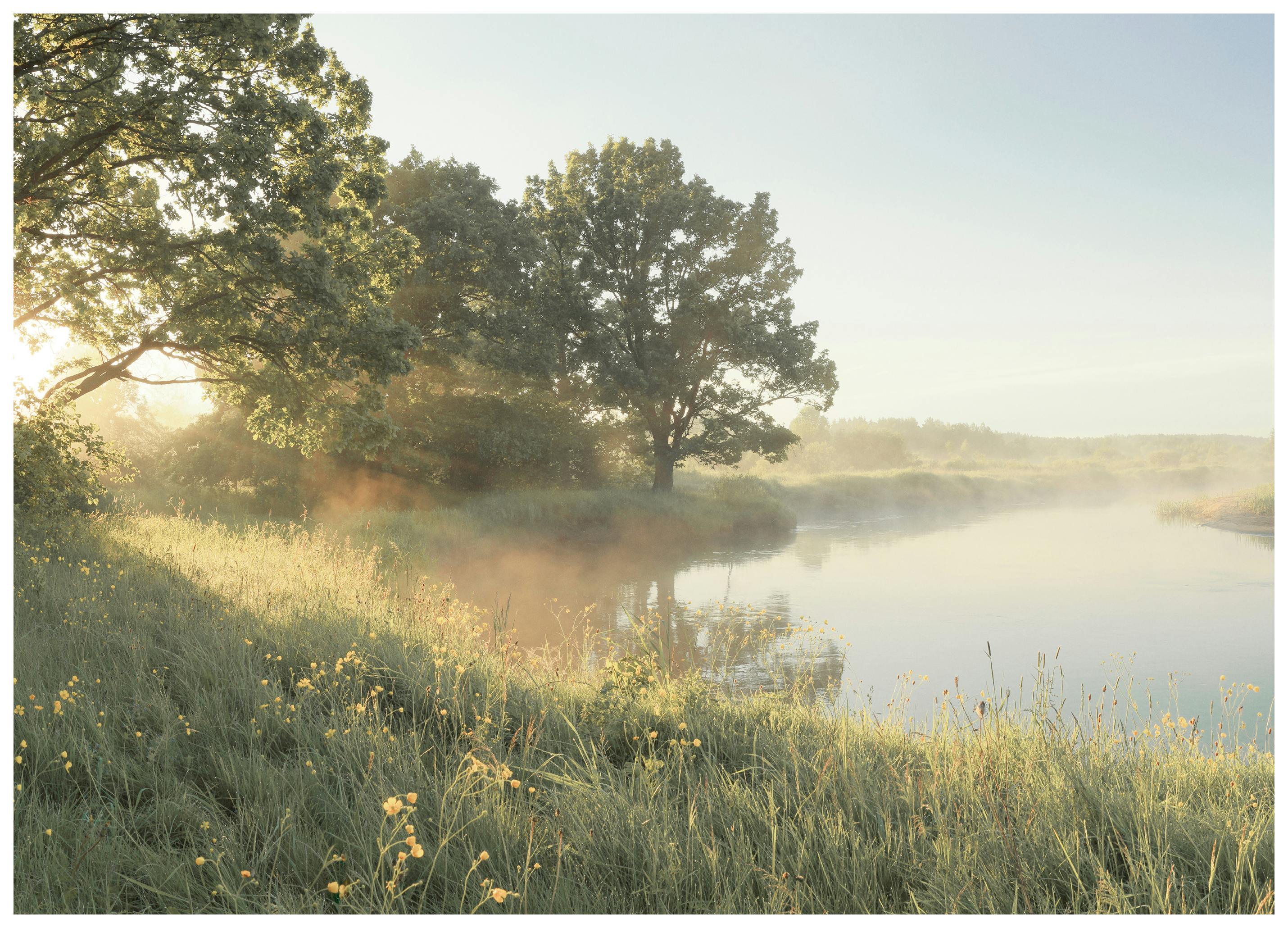 Soft Morning Light Poster (30x40 cm)
