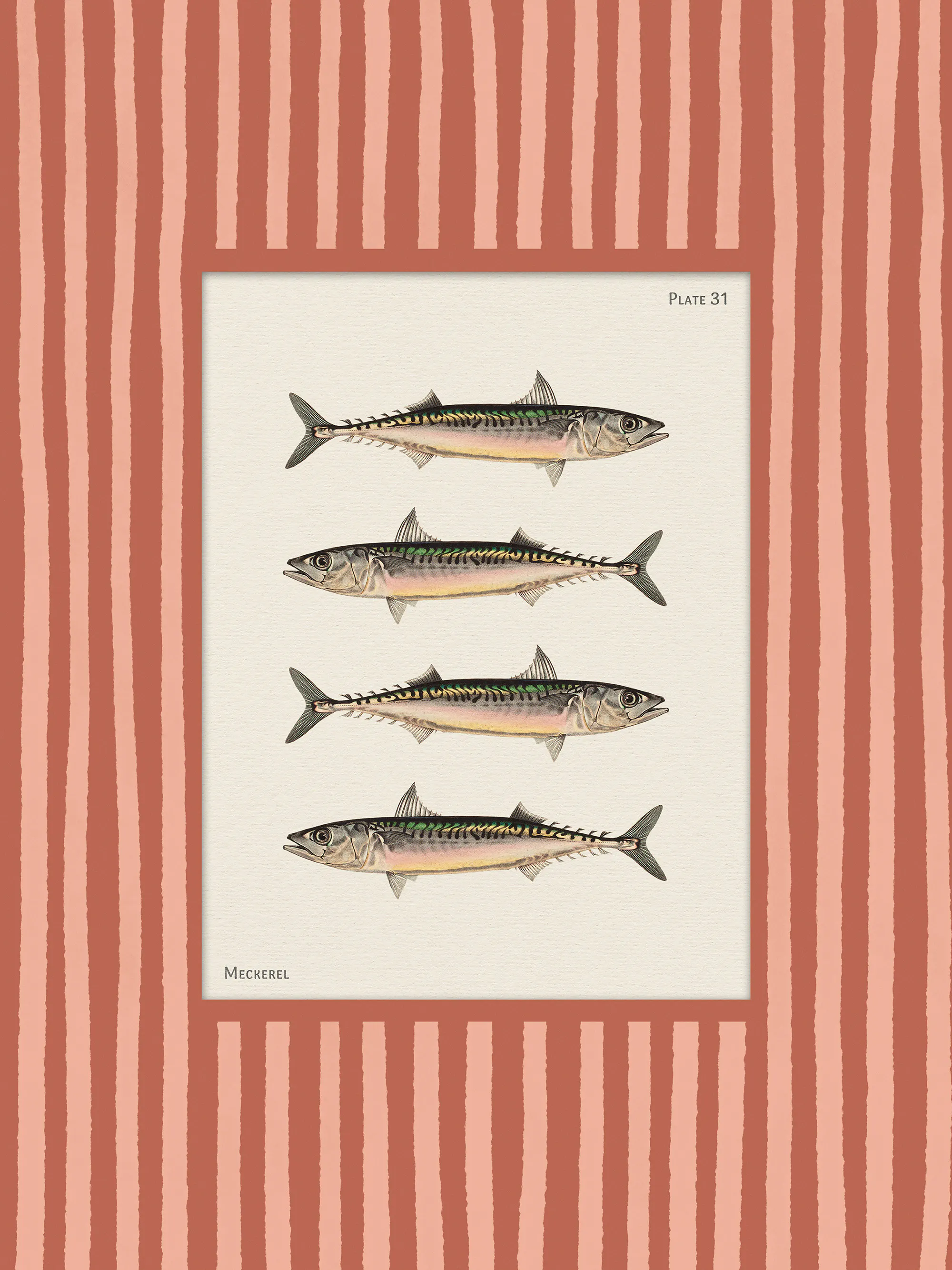 Vintage Mackerel Poster 0