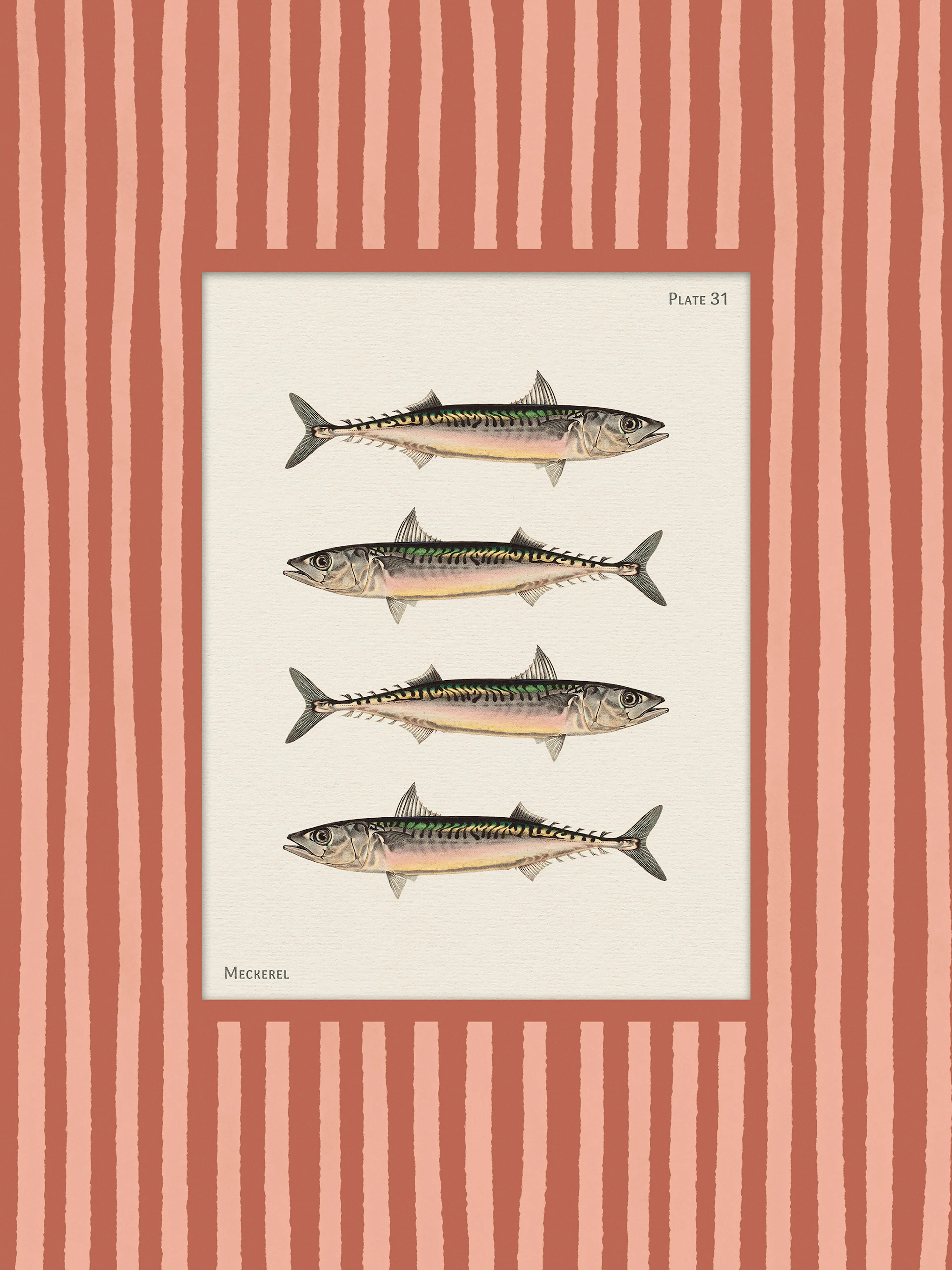 Vintage Mackerel Poster 0