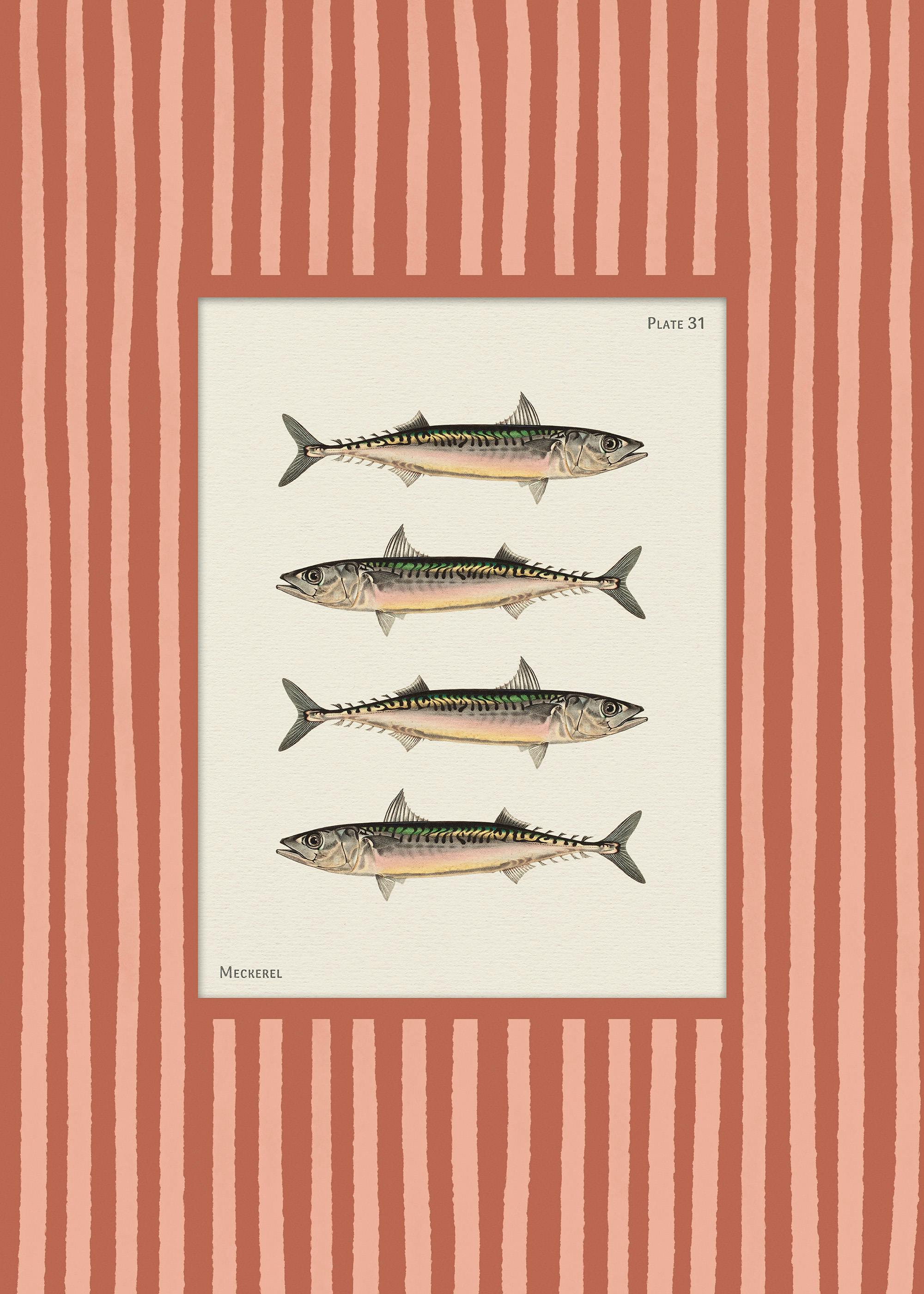 Vintage Mackerel Print 0