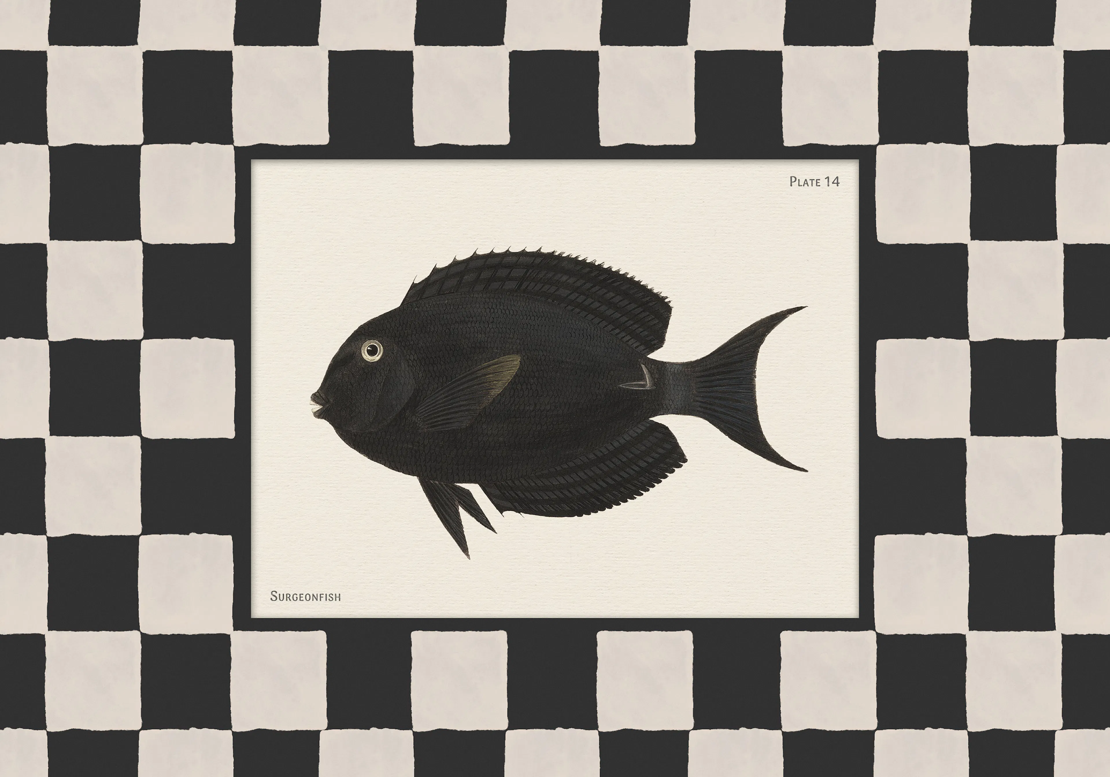 Vintage Surgeonfish Affiche 0