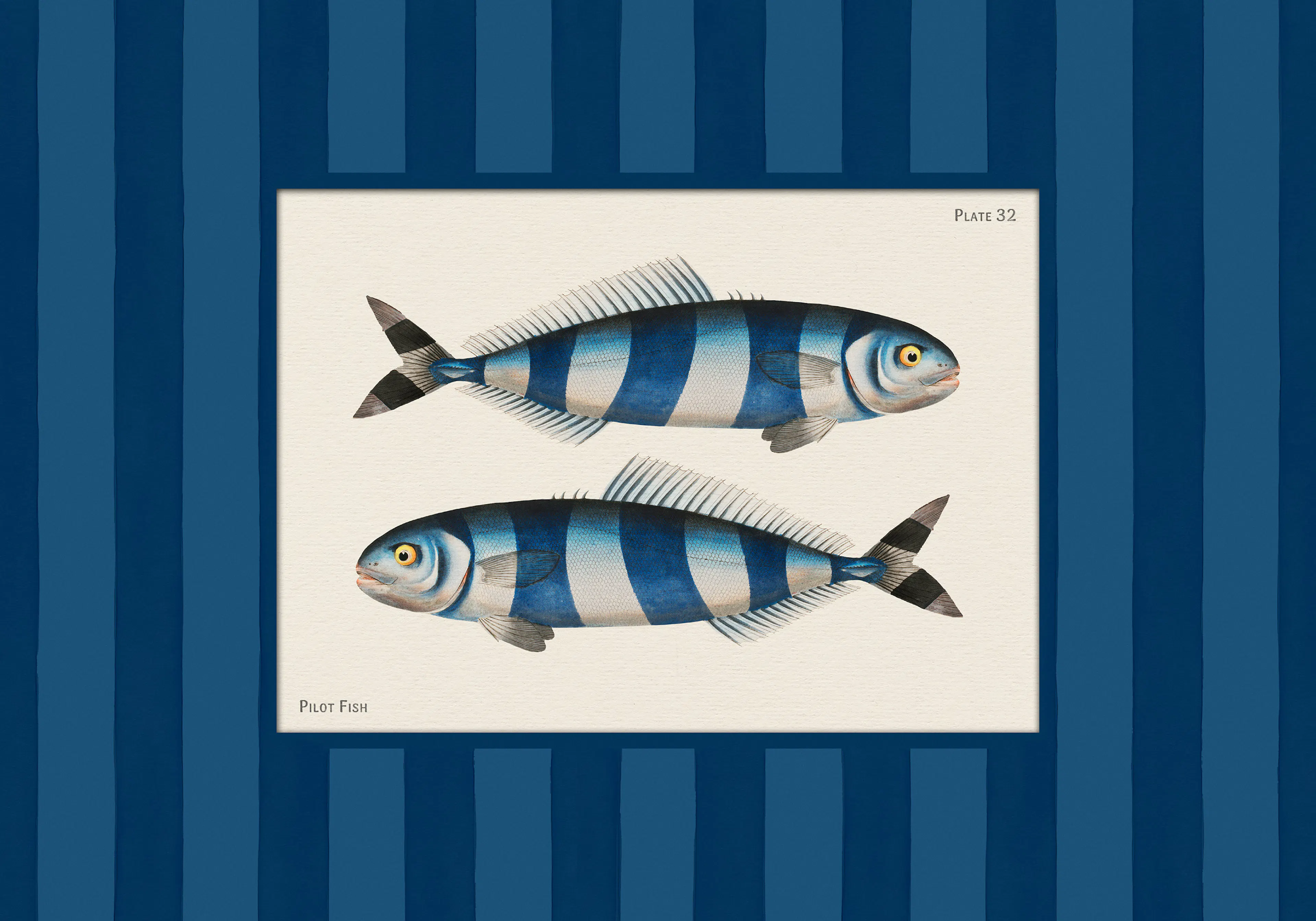 Product image: 1