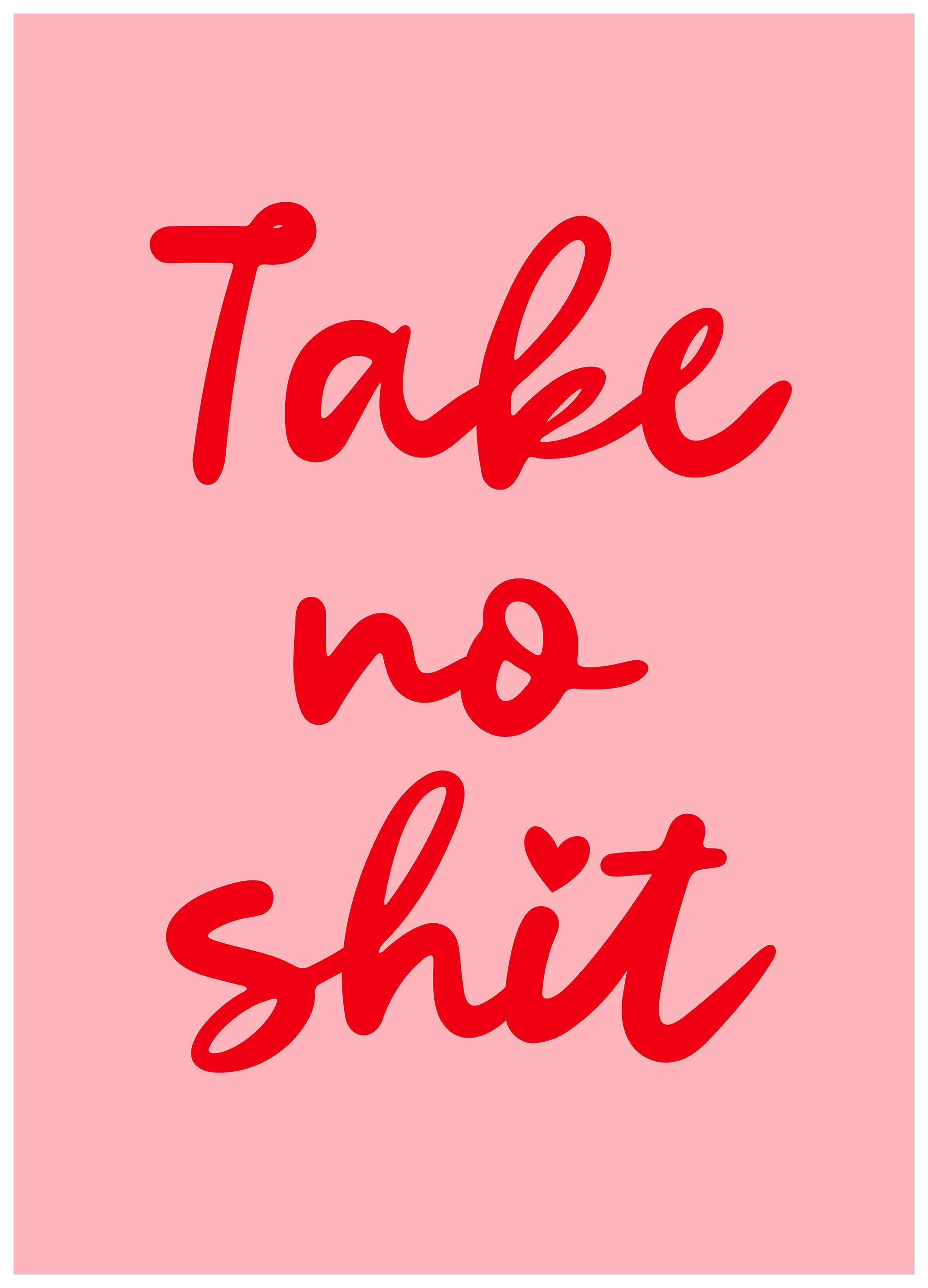 Prints - Take no Shit Print (13x18 cm) - Text posters