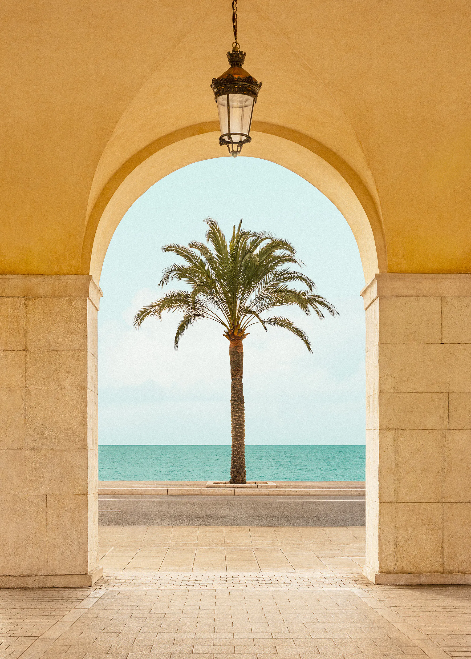 Palm Portal Plakat 0