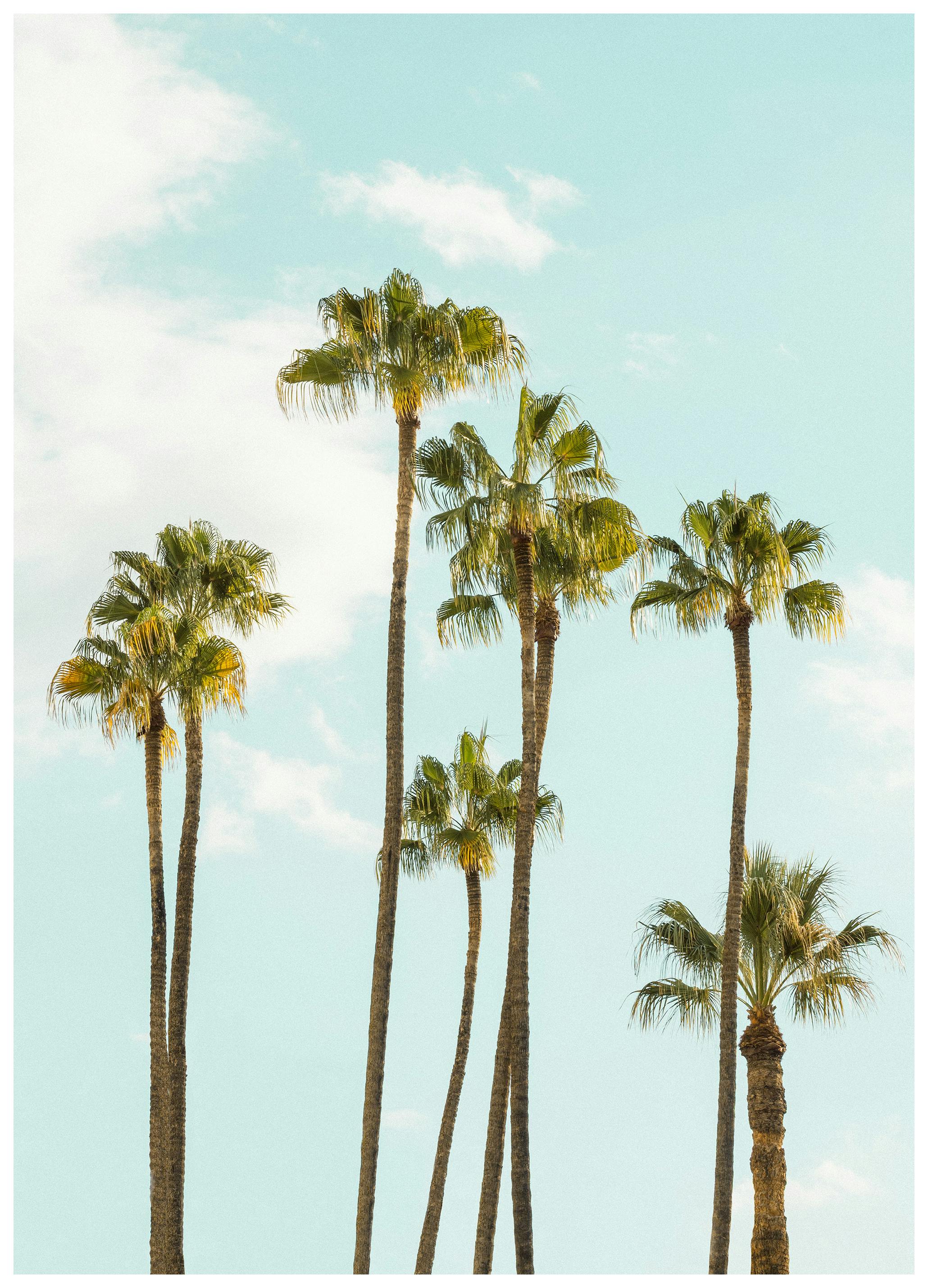 Sunward Poster (50x70 cm)