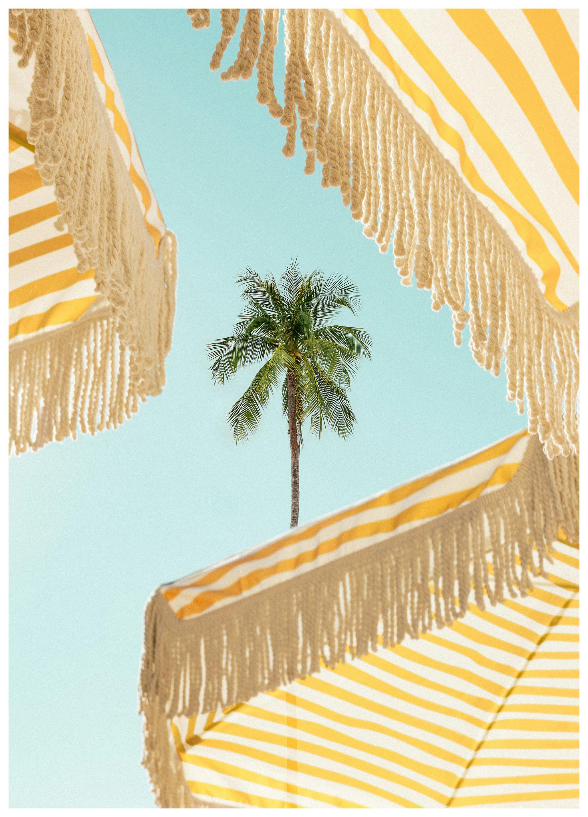 Sunlit Palms Poster (100x150 cm) - Studio Soleil Posters