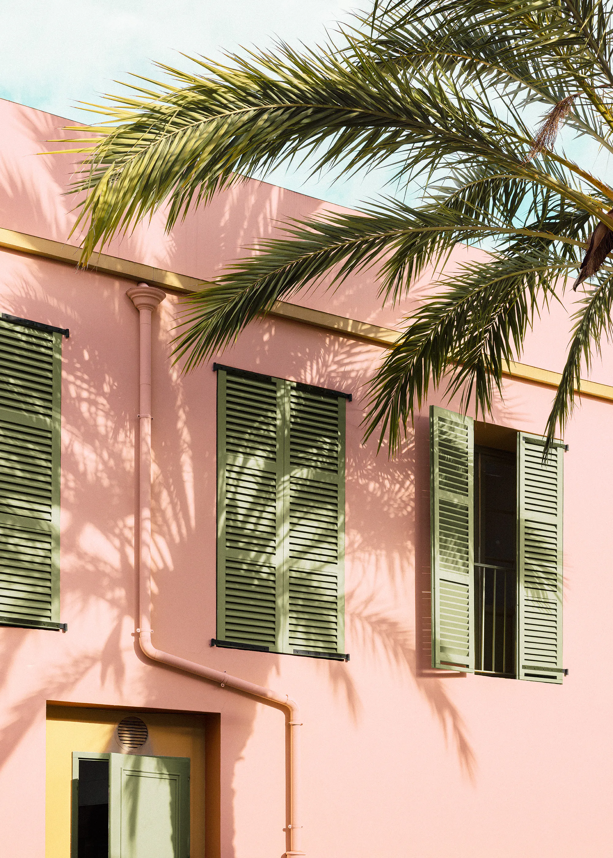 Palm and Pastel Poster 0