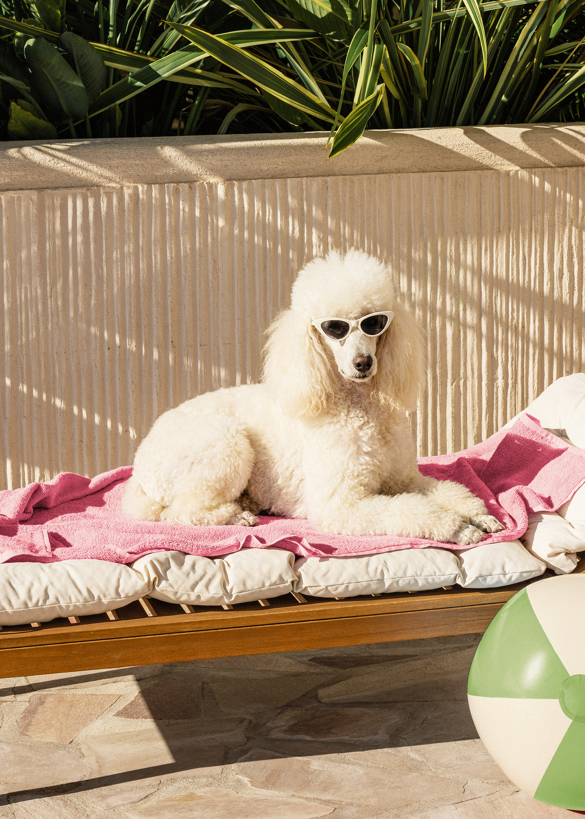 Poolside Pup Print