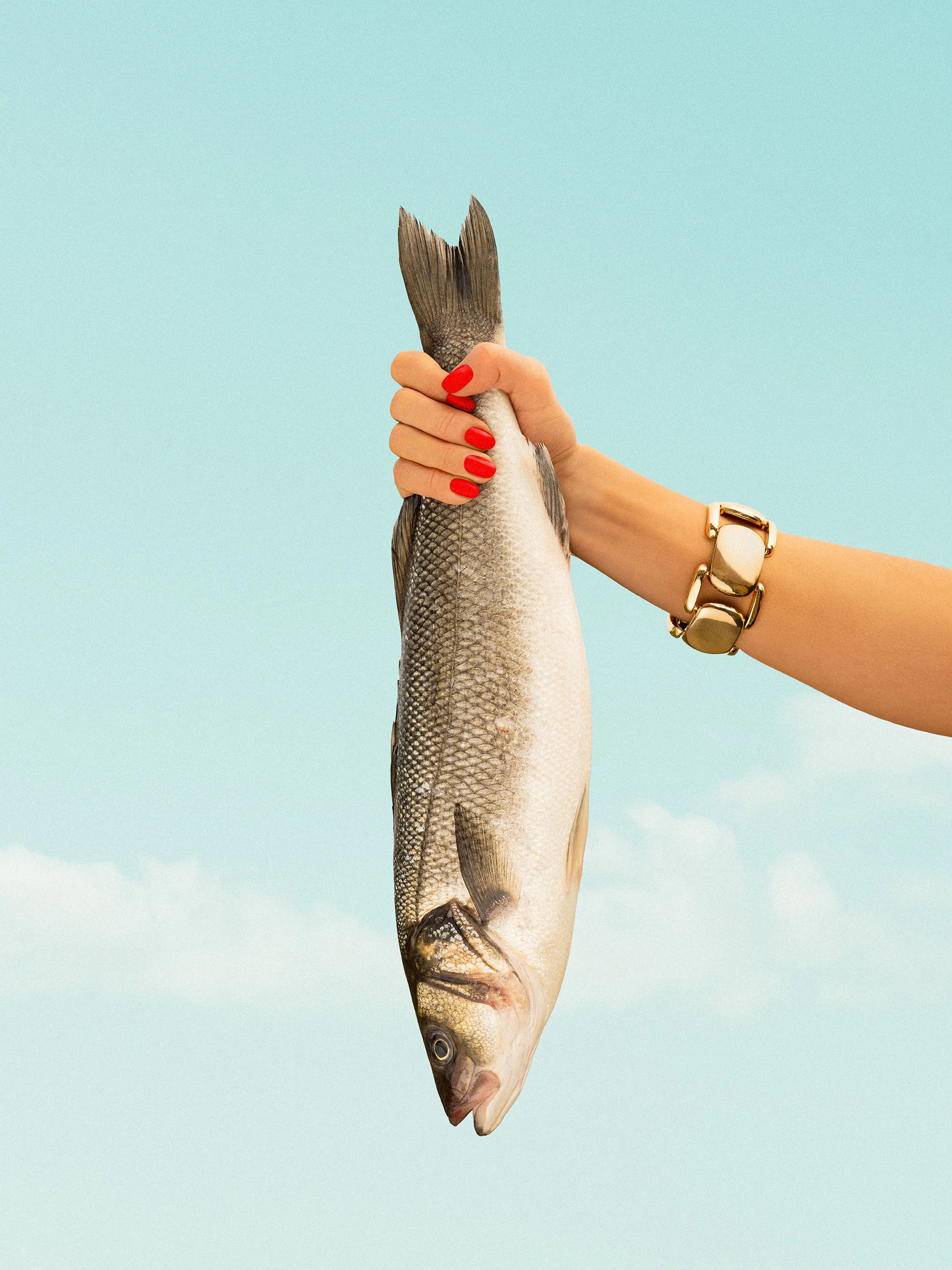 Catch of the Day Plagát 0