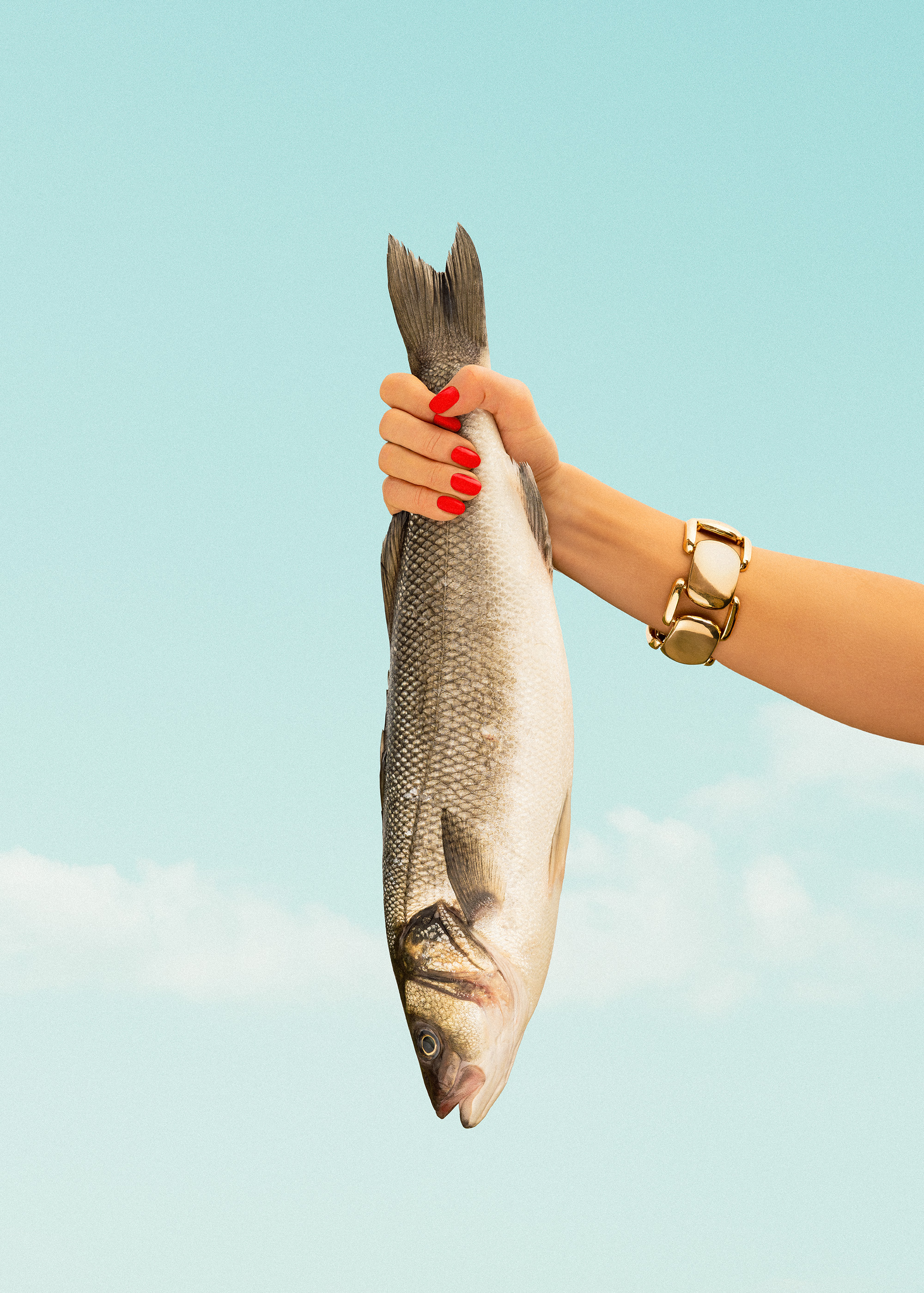 Catch of the Day Poster