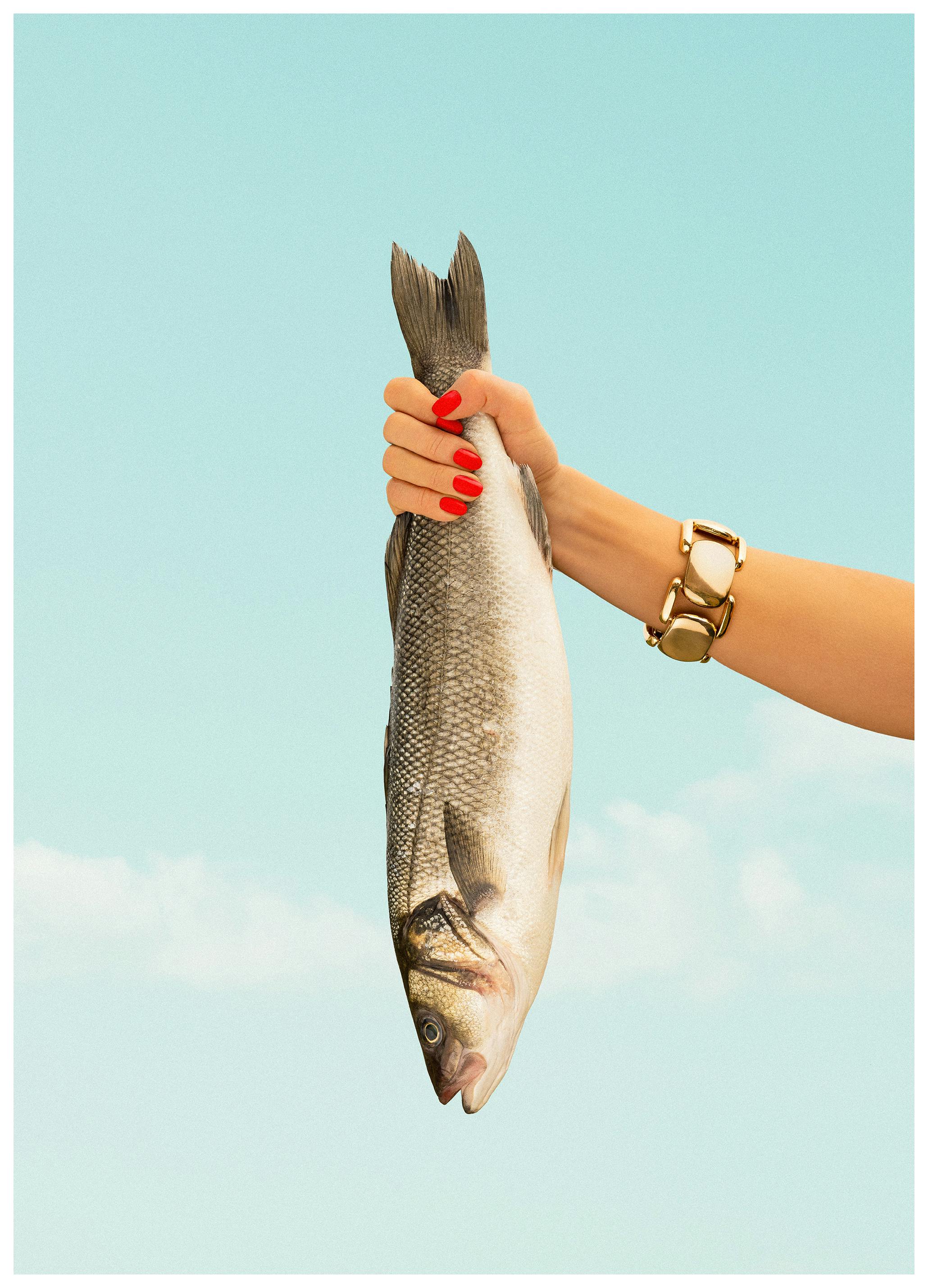 Catch of the Day Print (50x70 cm)