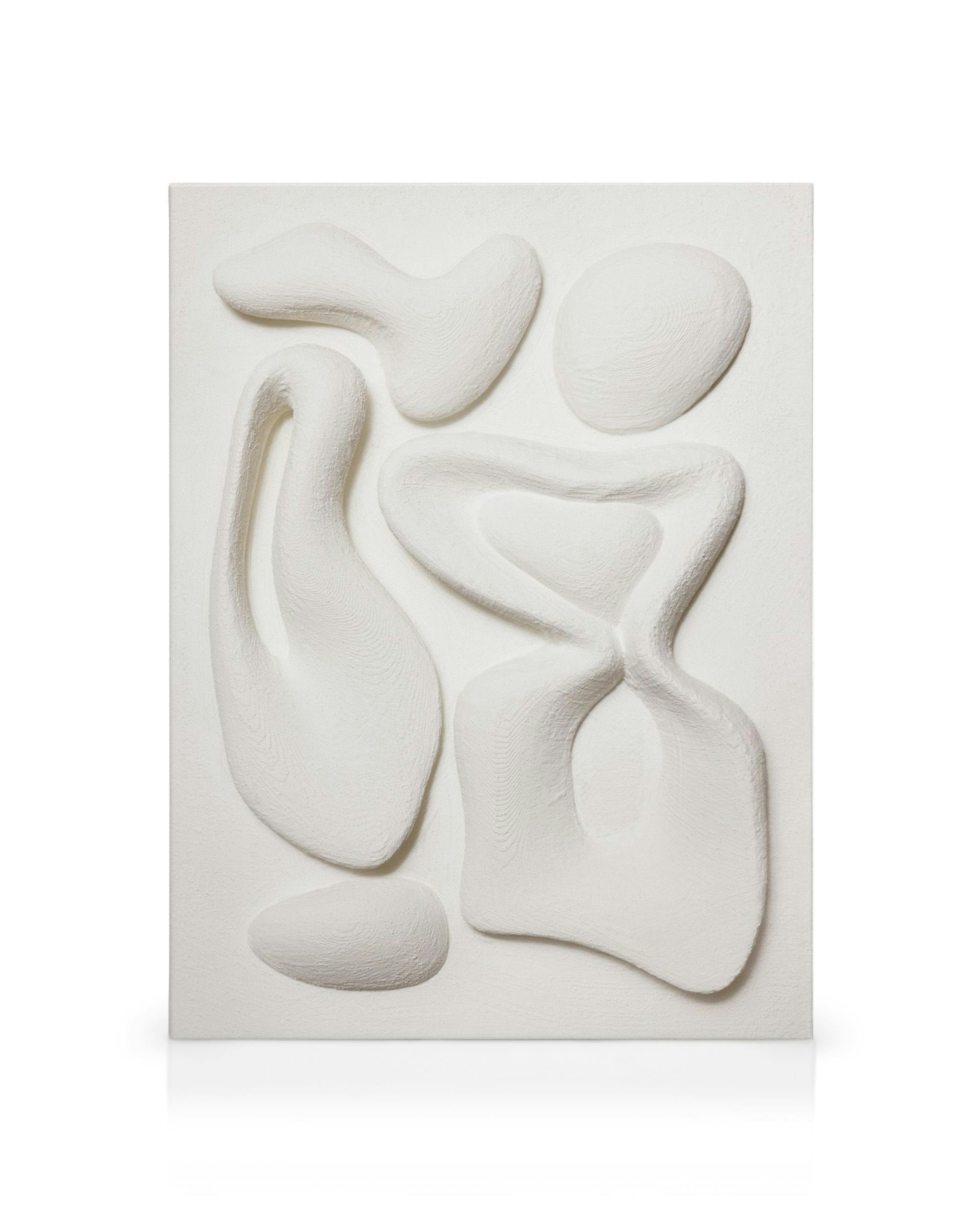 Orgaaniset valkoiset muodot kohokuvioituna, Organic Shapes Texture -kanvaasi