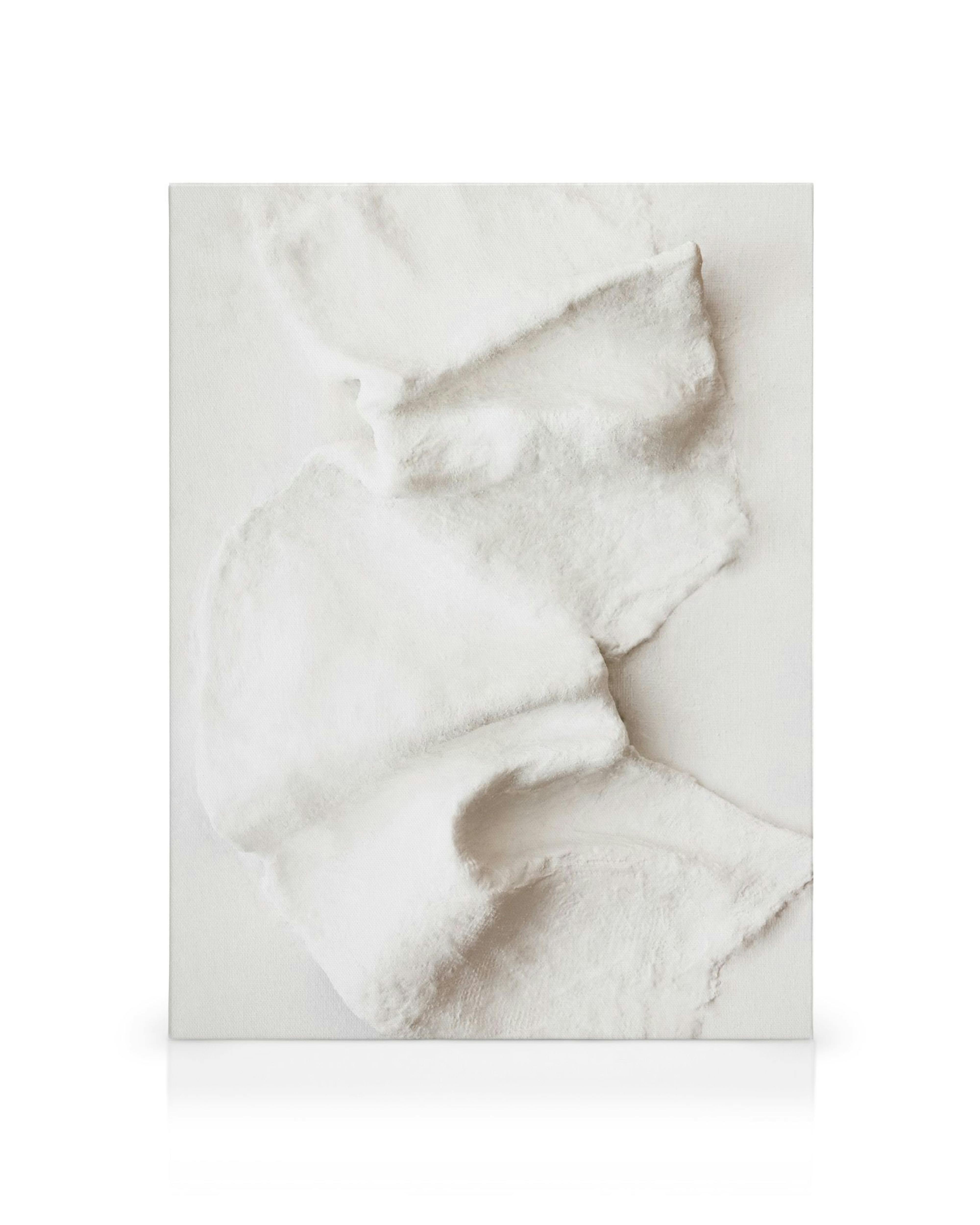 Organische sculptuurpleister textuur canvas in zacht beige en wit, met golvende vormen en een 3D-illusie.