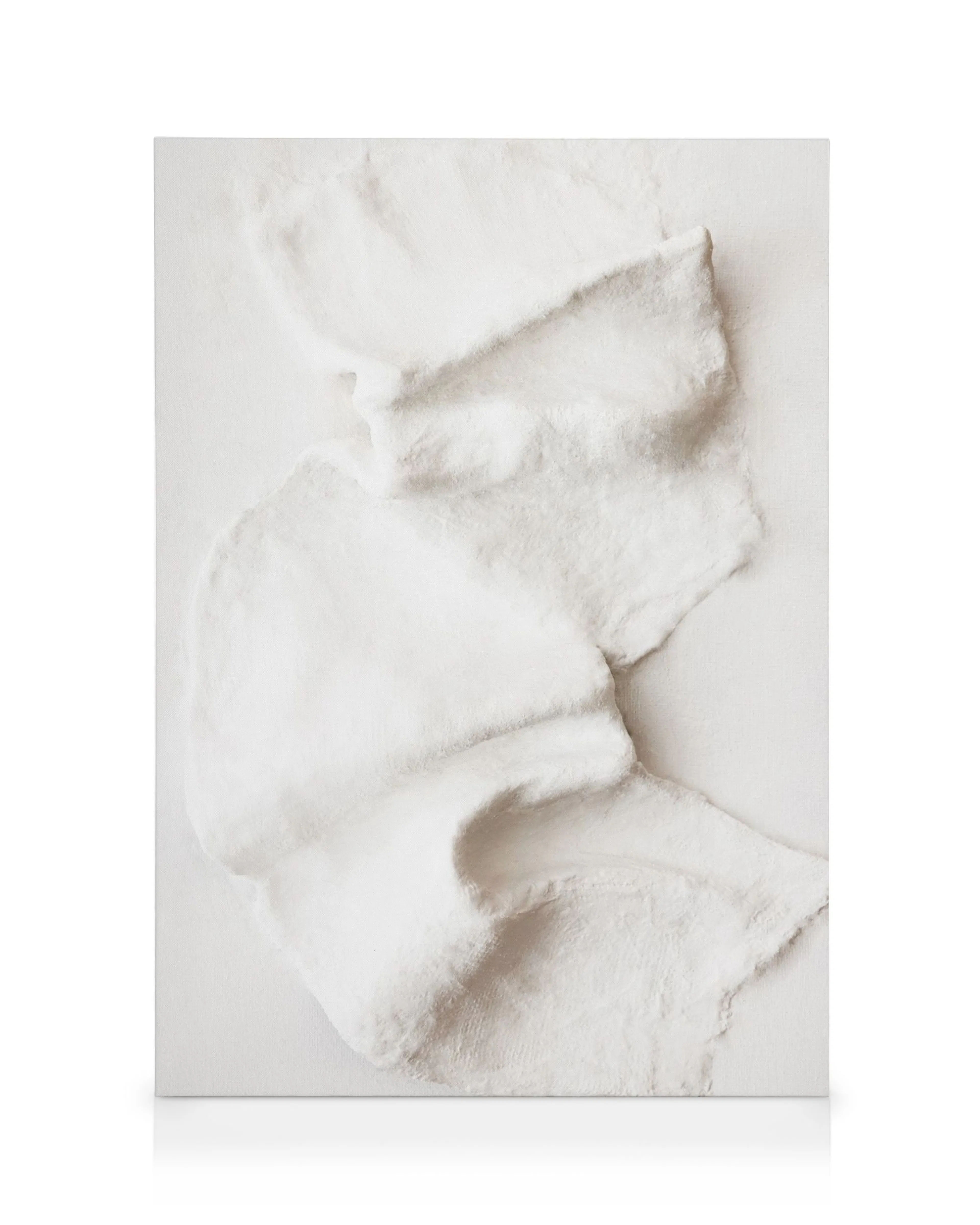 White sculpted plaster texture canvas print with subtle 3D effect, soft white abstract design