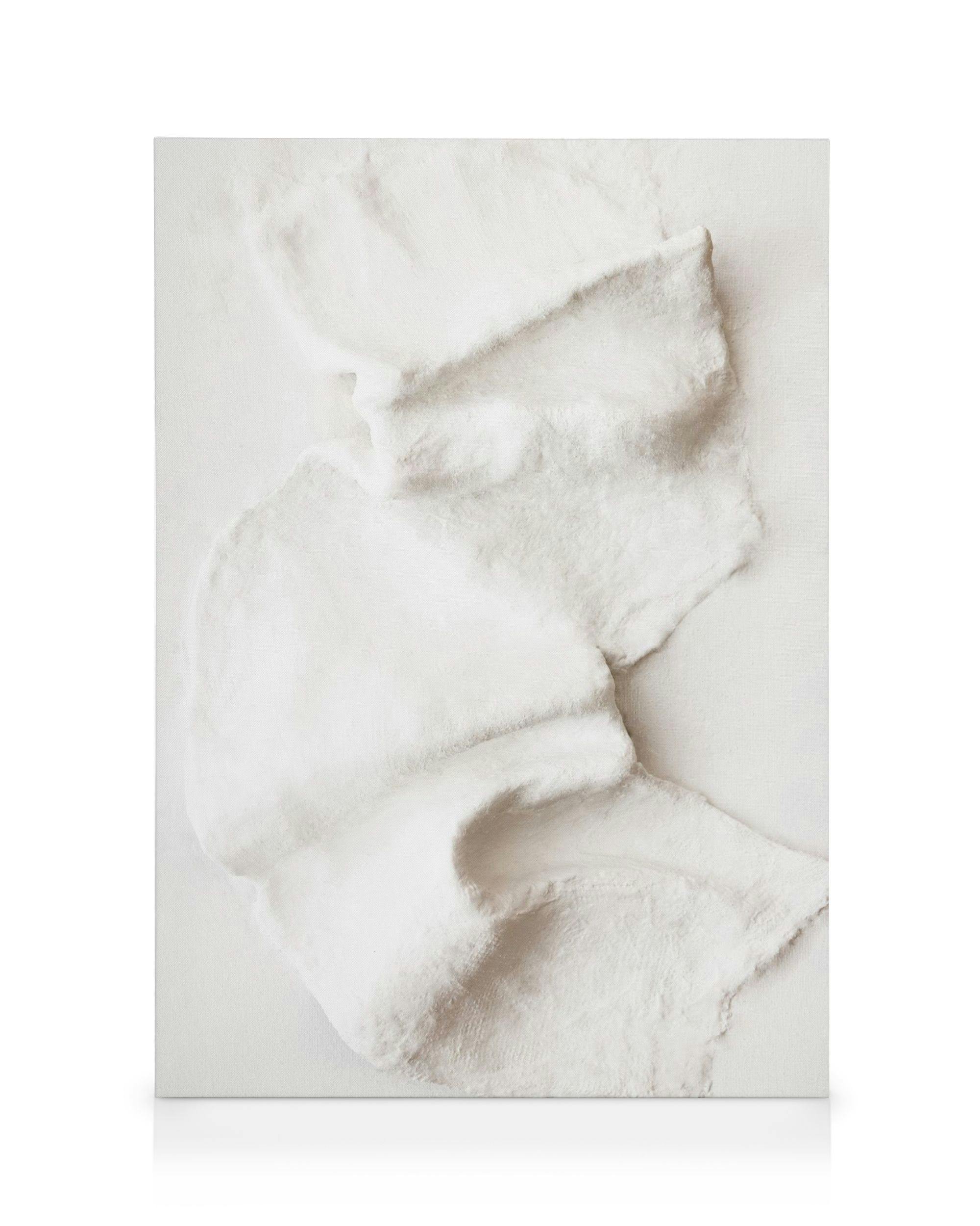 Tela decorativa com gesso esculpido em tons de bege e branco, com textura orgânica e ilusão 3D.