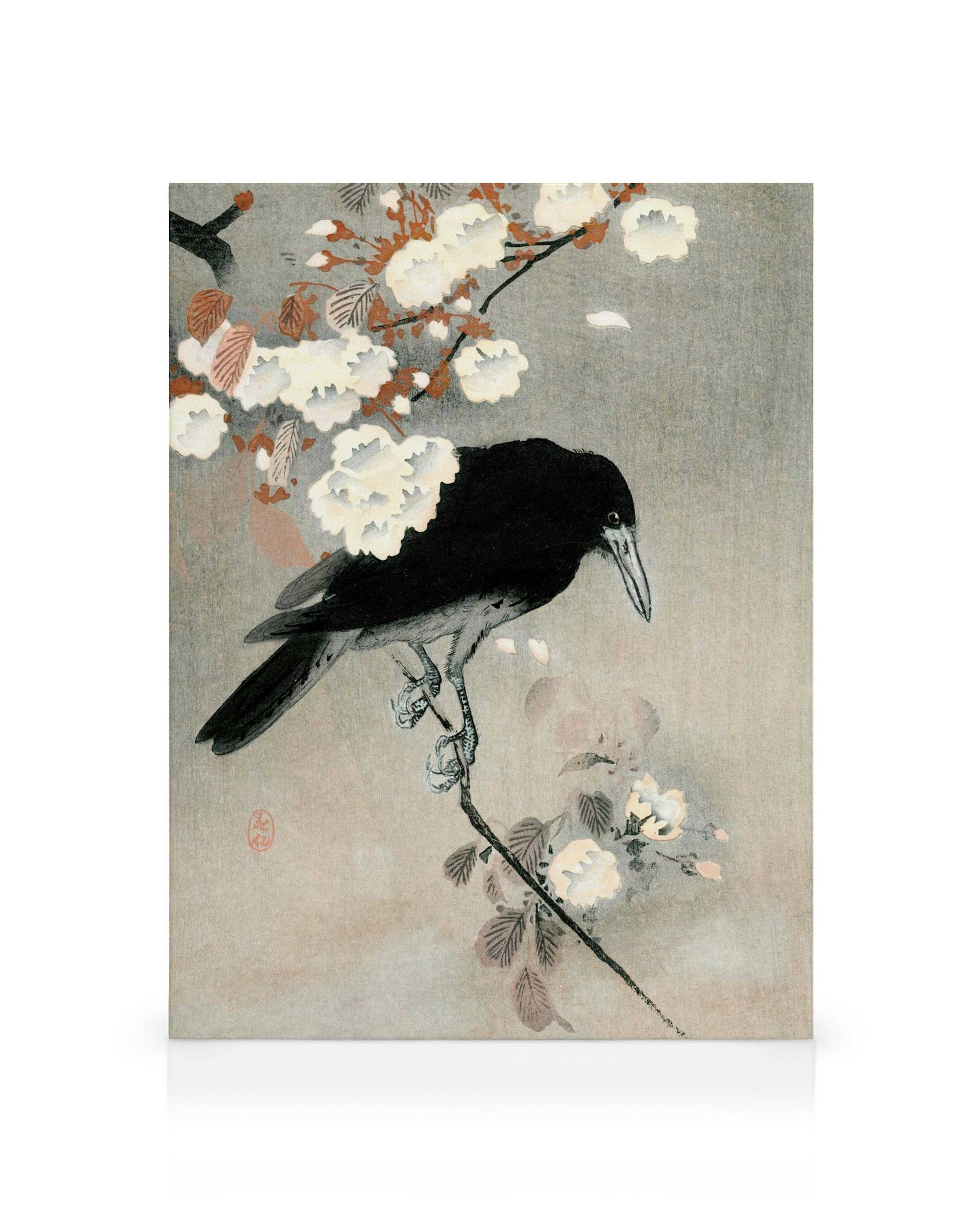 Obraz na plátne s čiernou vranou na konári s bielymi kvetmi, japonská drevotlač Ohara Koson.