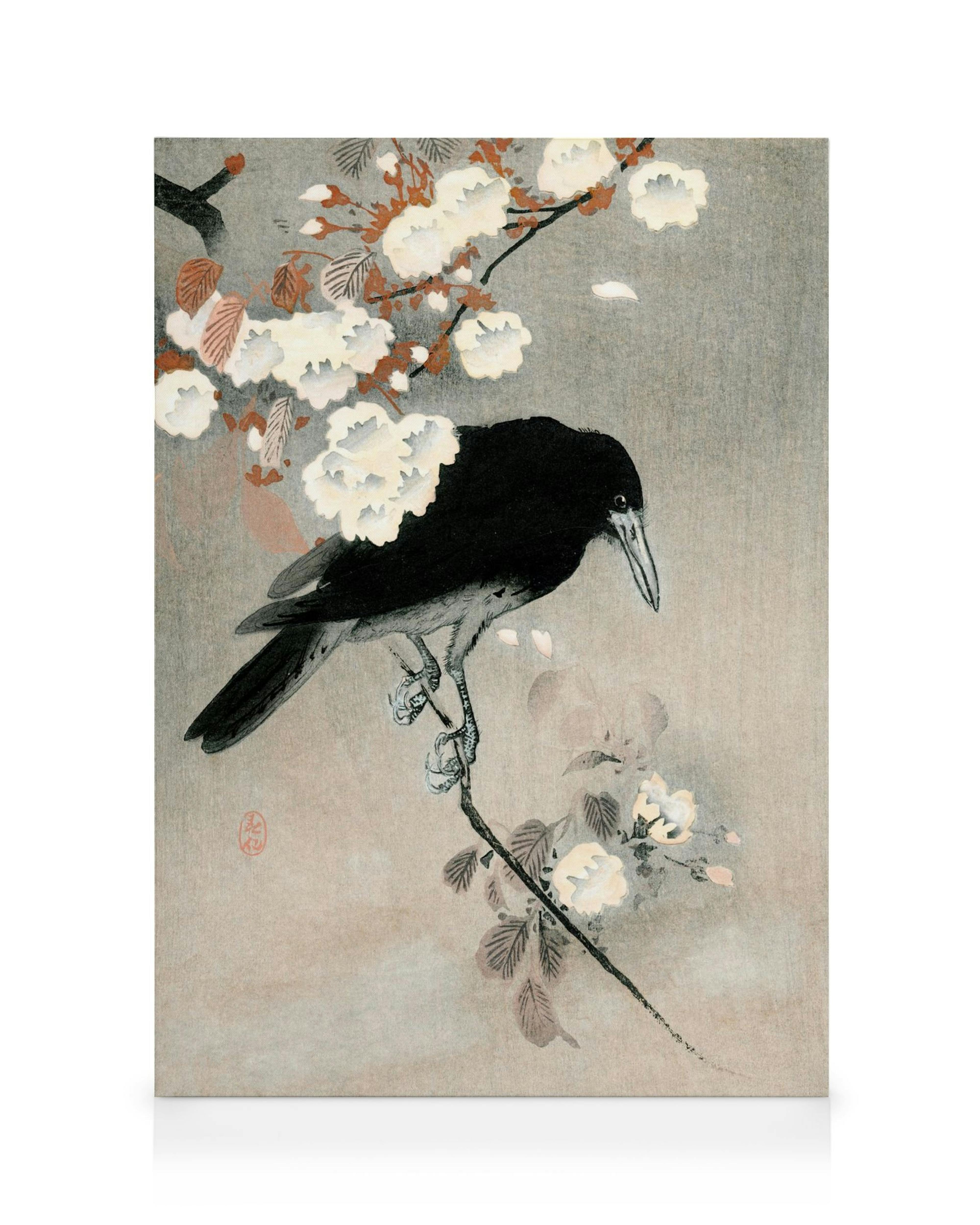 Toile japonaise de style Ukiyo-e représentant un corbeau noir sur une branche en fleurs blanches et oranges, sceau rouge, nature