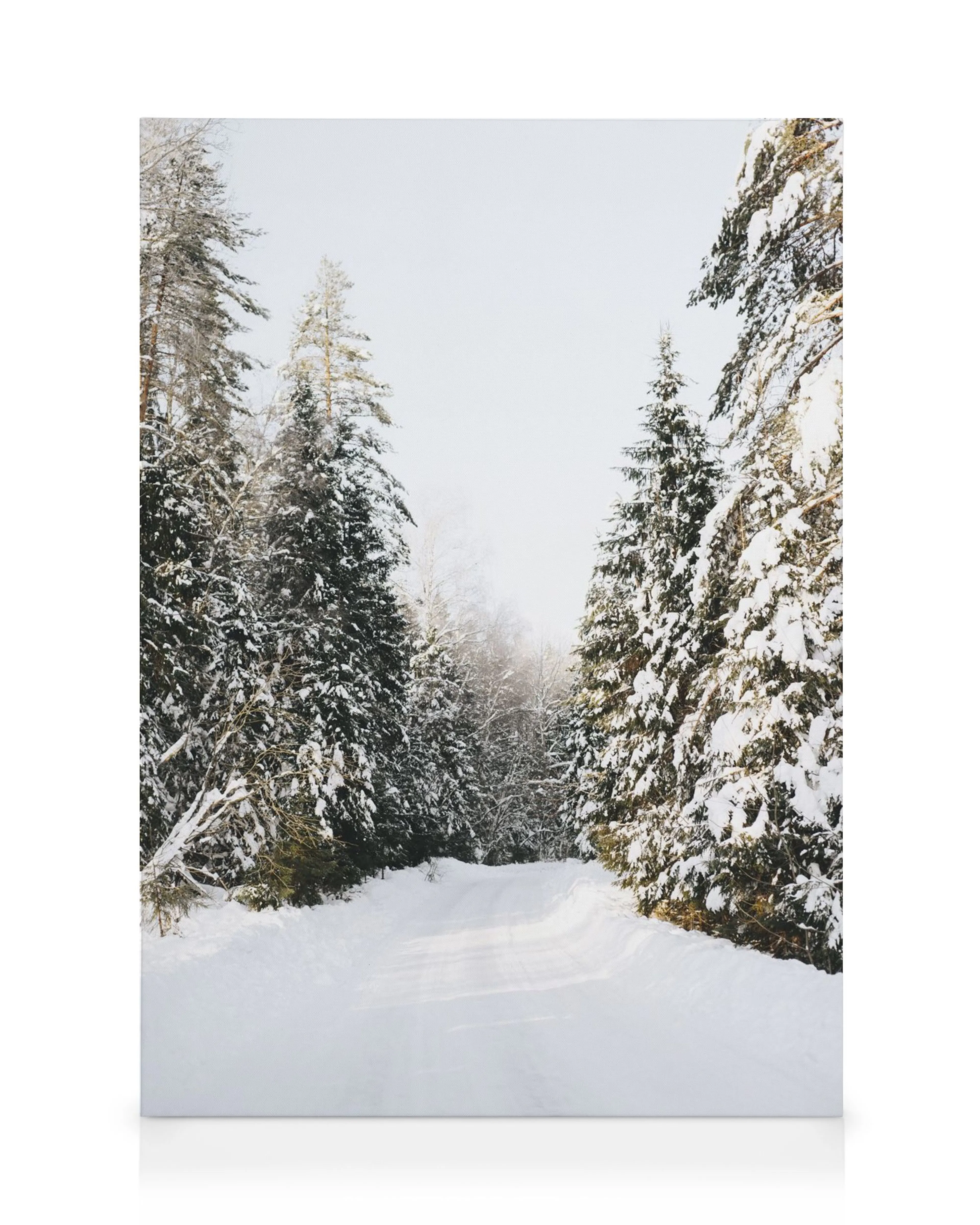 Snowy road through a forest of tall, snow-covered evergreen trees under a pale sky on canvas print.