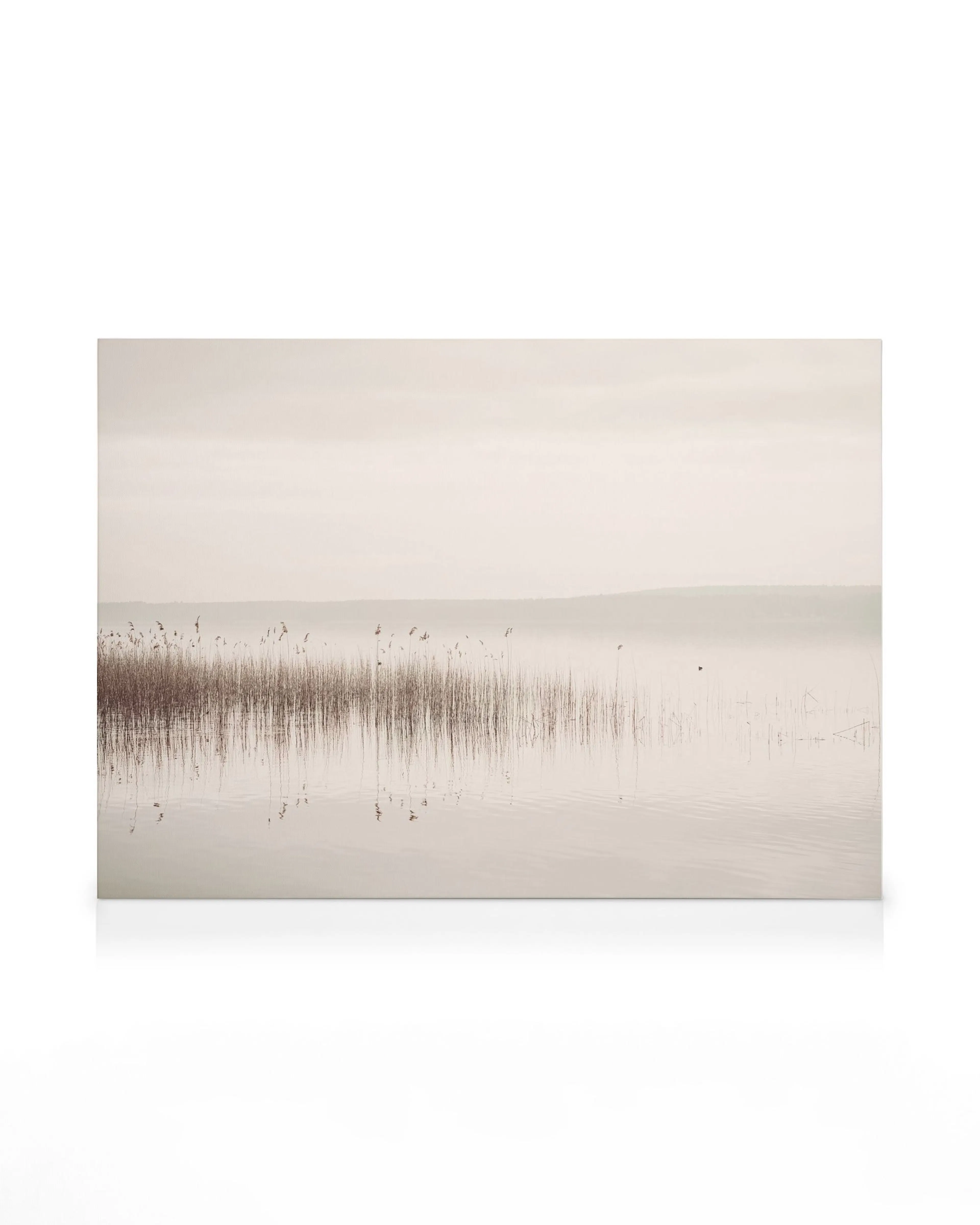 Calm View Canvas art: serene muted landscape of a misty lake with tall brown reeds reflecting on the water.