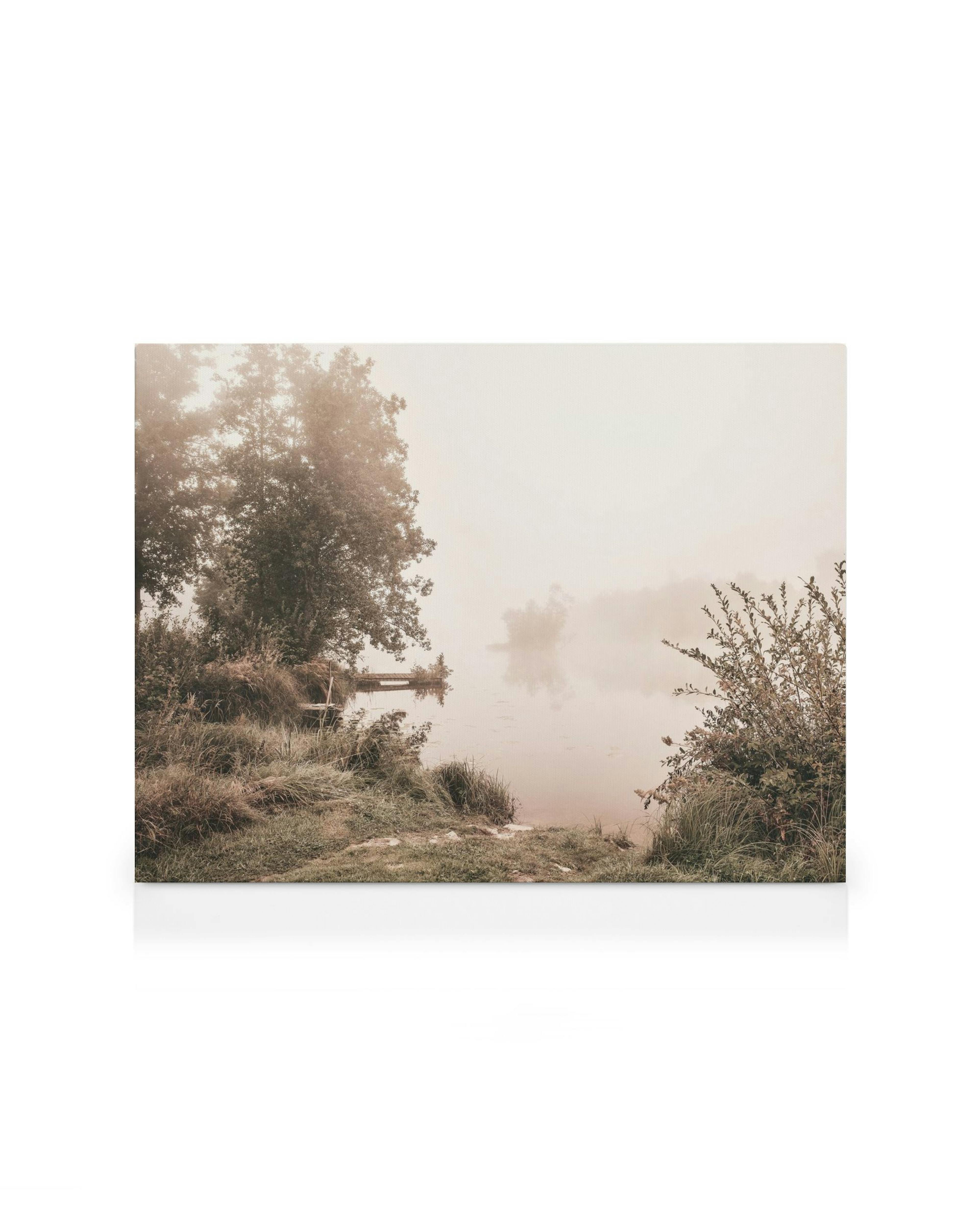 Udsigt over tåget sø med træer og buskads i dæmpede farver, rolig naturstemning.