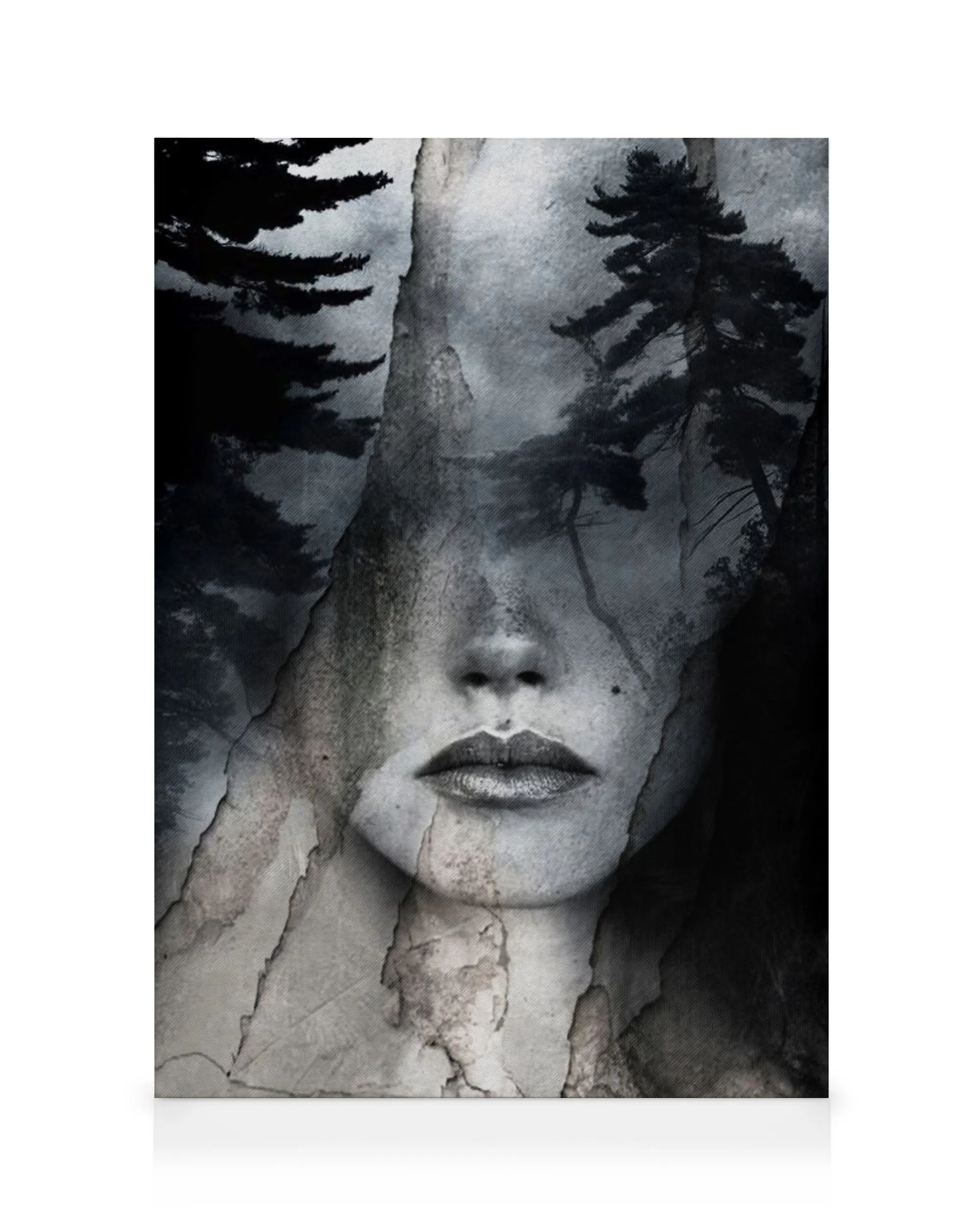 Czarno-szary obraz na płótnie: twarz kobiety z popękaną teksturą i sosnami, sztuka ścienna, monochromatyczny portret.