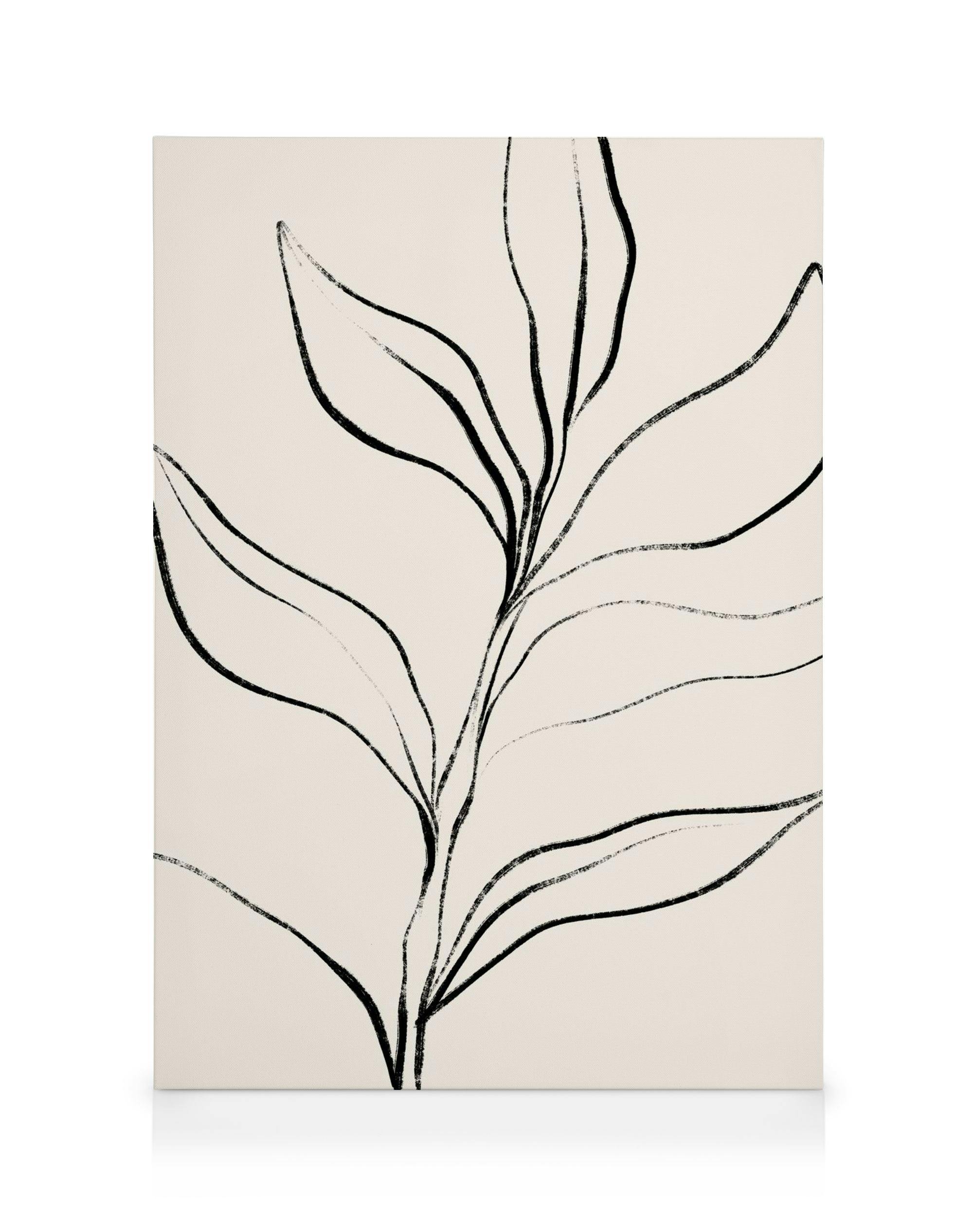 Canvas Prints Botanical Lines Canvas print (50x70 cm - Oak Frame)