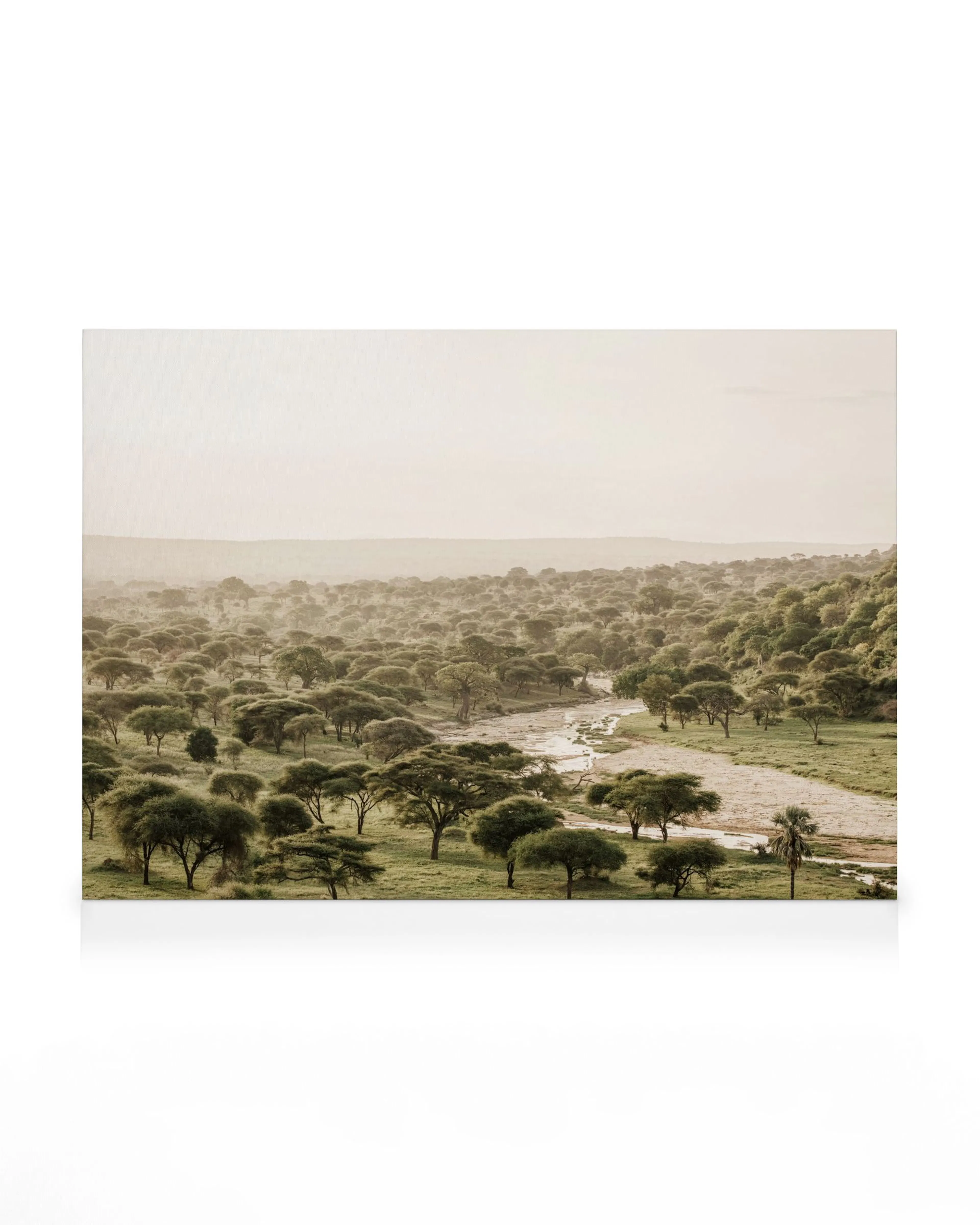African wilderness canvas print, tranquil landscape with trees, river, and soft greens and yellows.