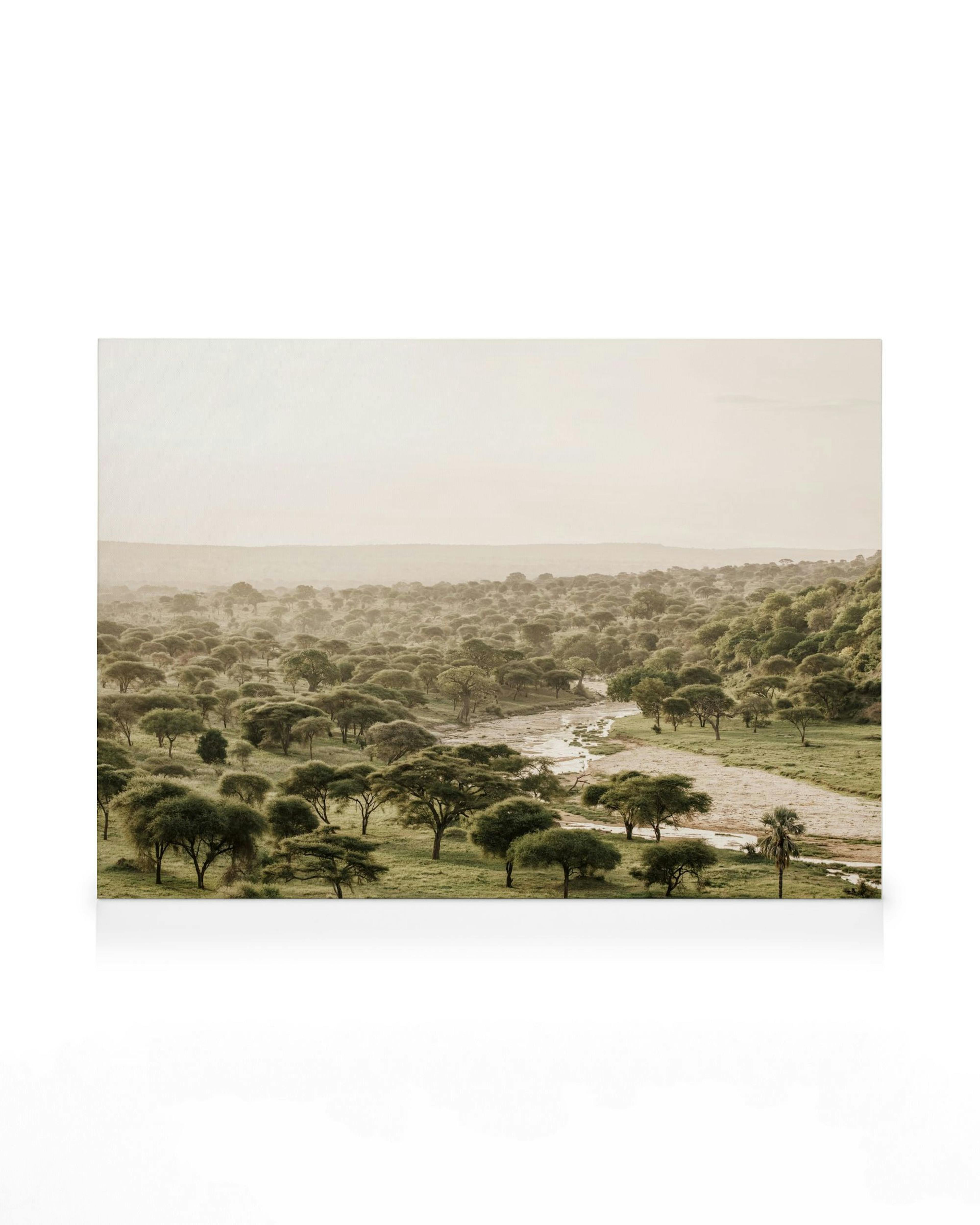 Stampa su tela di un paesaggio africano con alberi verdi, erba e un fiume serpeggiante.
