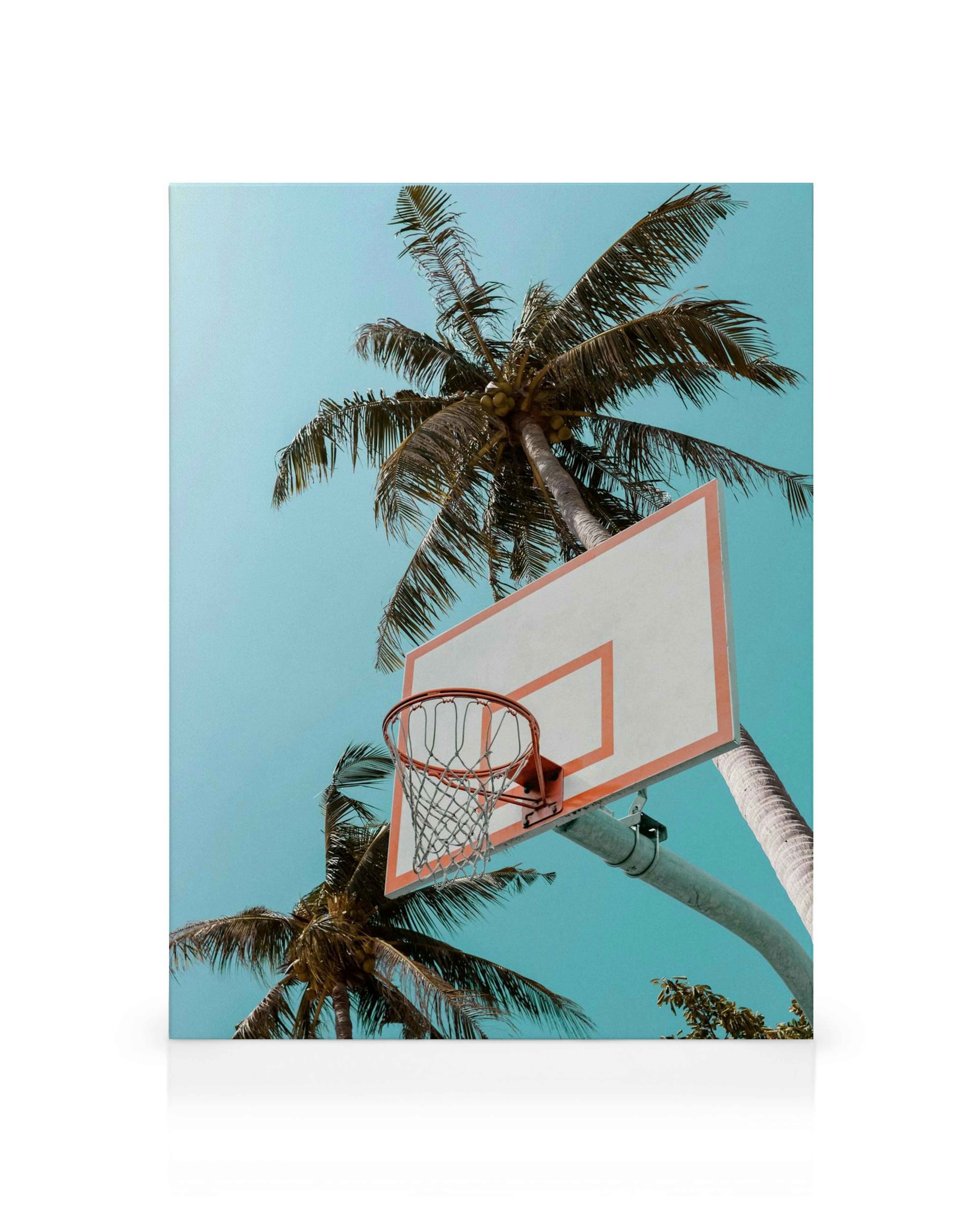 Basketballkorb mit rotem Rand unter Palmen vor blauem Himmel, Sommer-Leinwandbild.