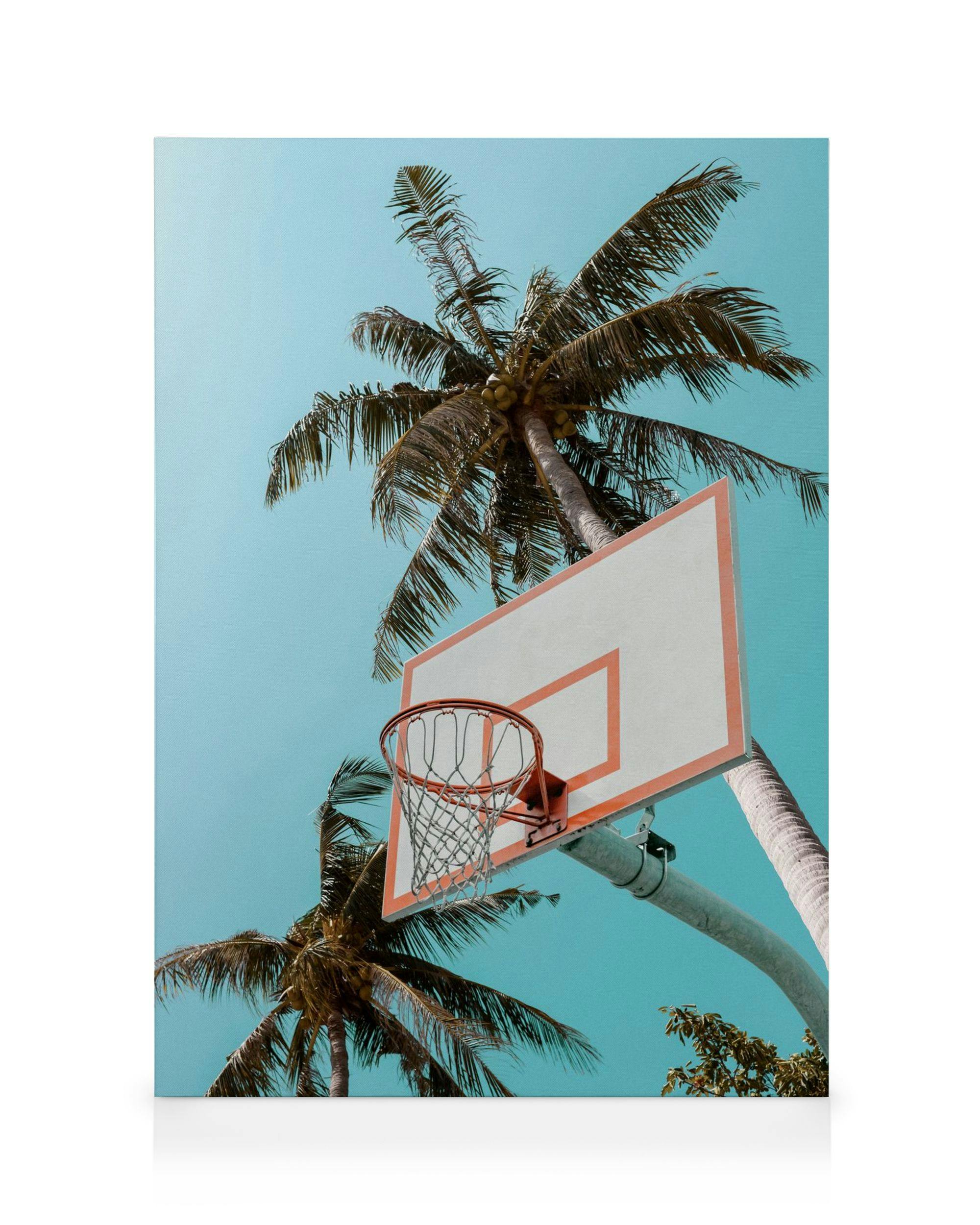 Canvas Prints Basketball Palms Canvas print (30x40 cm)