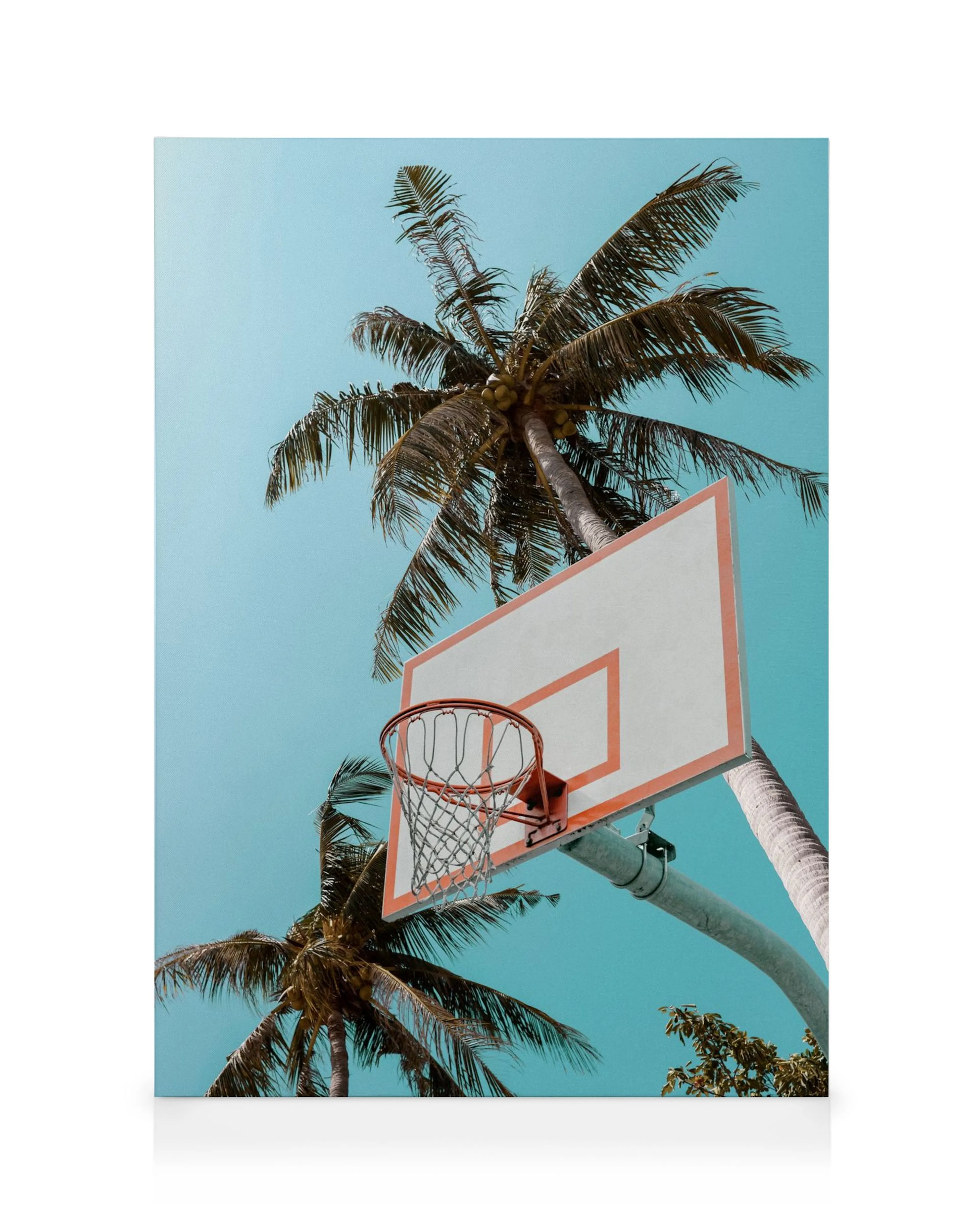 Canvas met basketbalring, oranje rand, wit backboard, palmboom, lichtblauwe hemel. Sportief thema.