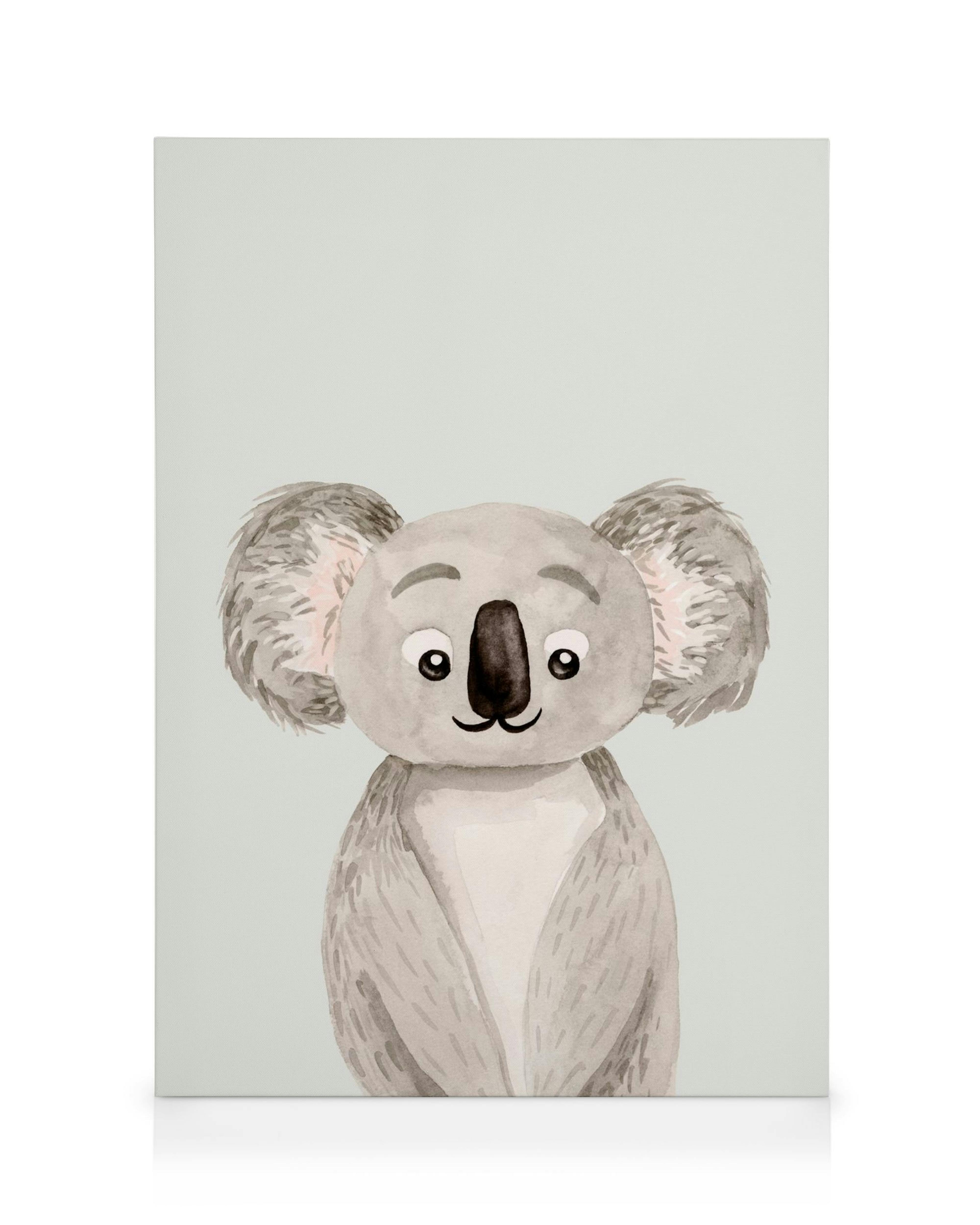 Leinwand mit niedlichem Kinder-Koala, graues Fell, rosa Ohren und grosse schwarze Augen auf hellem Hintergrund.